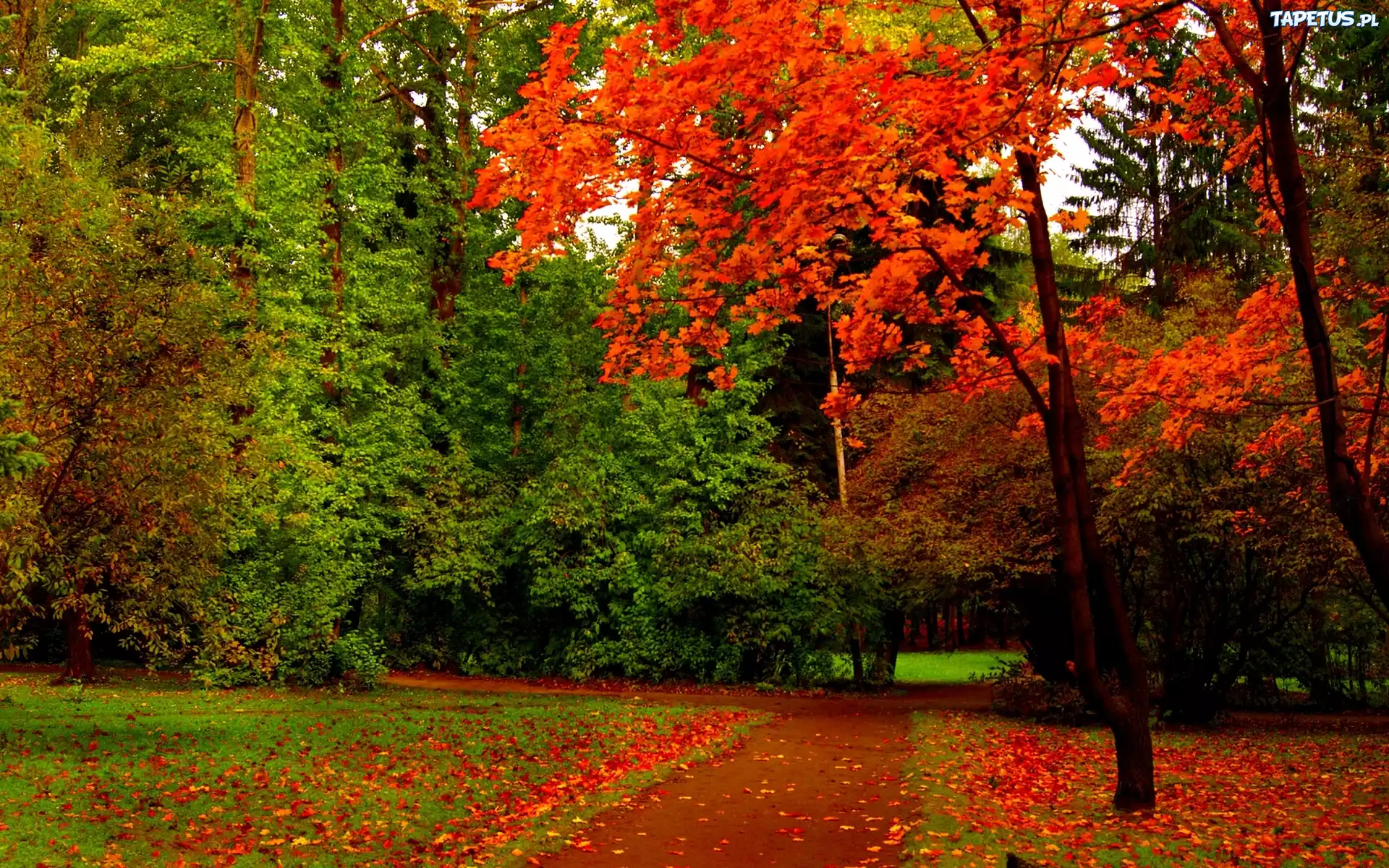 Jesień, Park, Ścieżka
