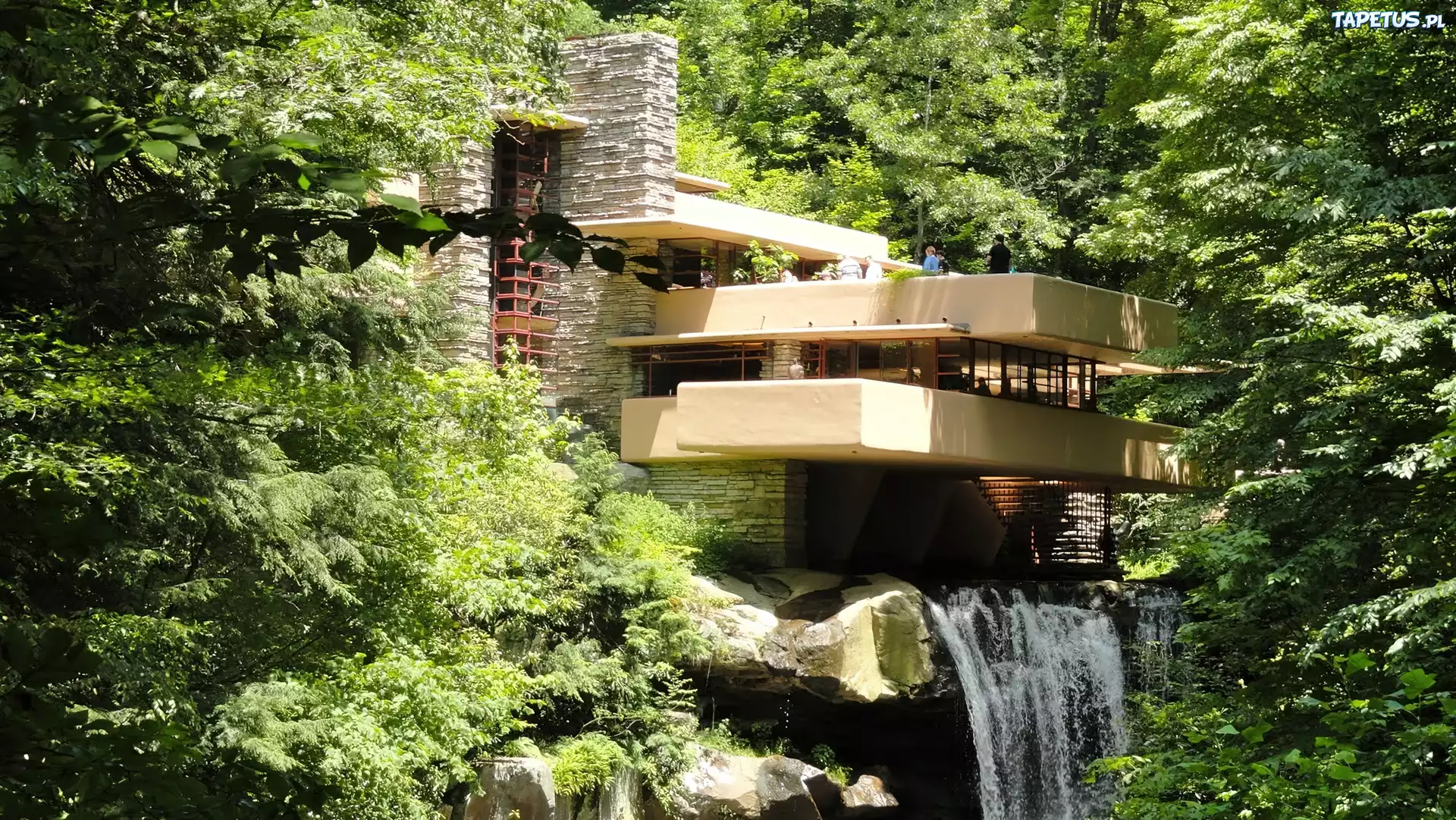 Dom, Fallingwater, Frank Lloyd Wright