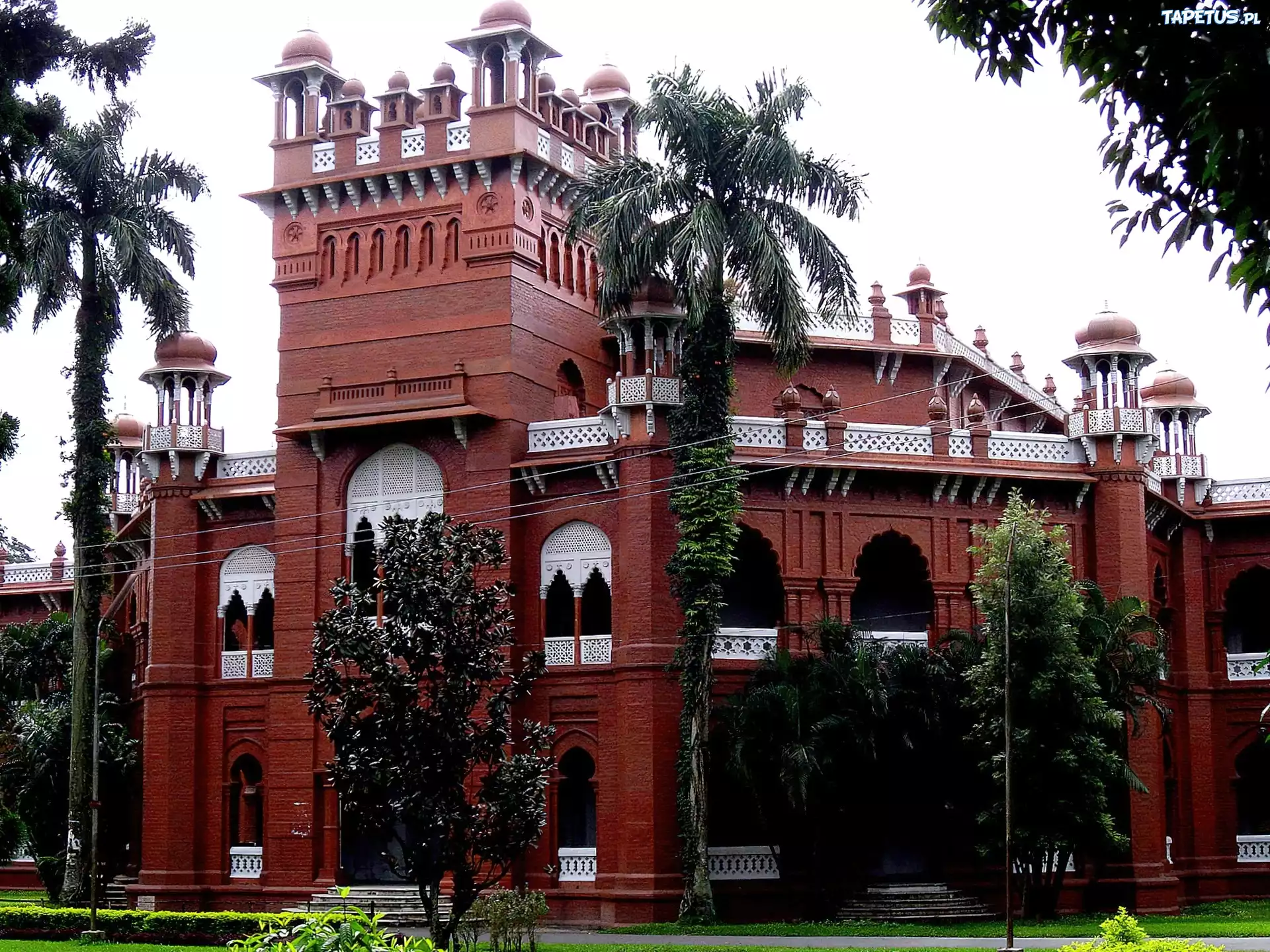 Bangladesz, Dhaka, Budynek, Palmy