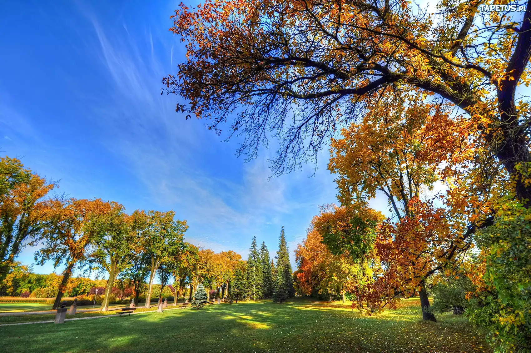 Jesień, Park, Drzewa, Niebo