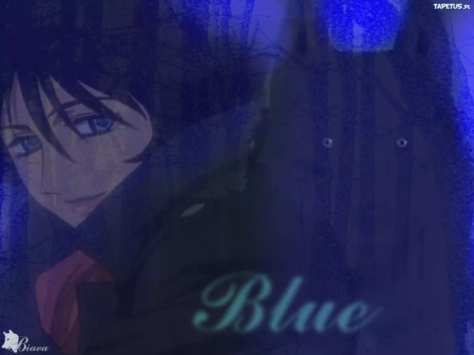 Blue, wilk, Wolfs Rain