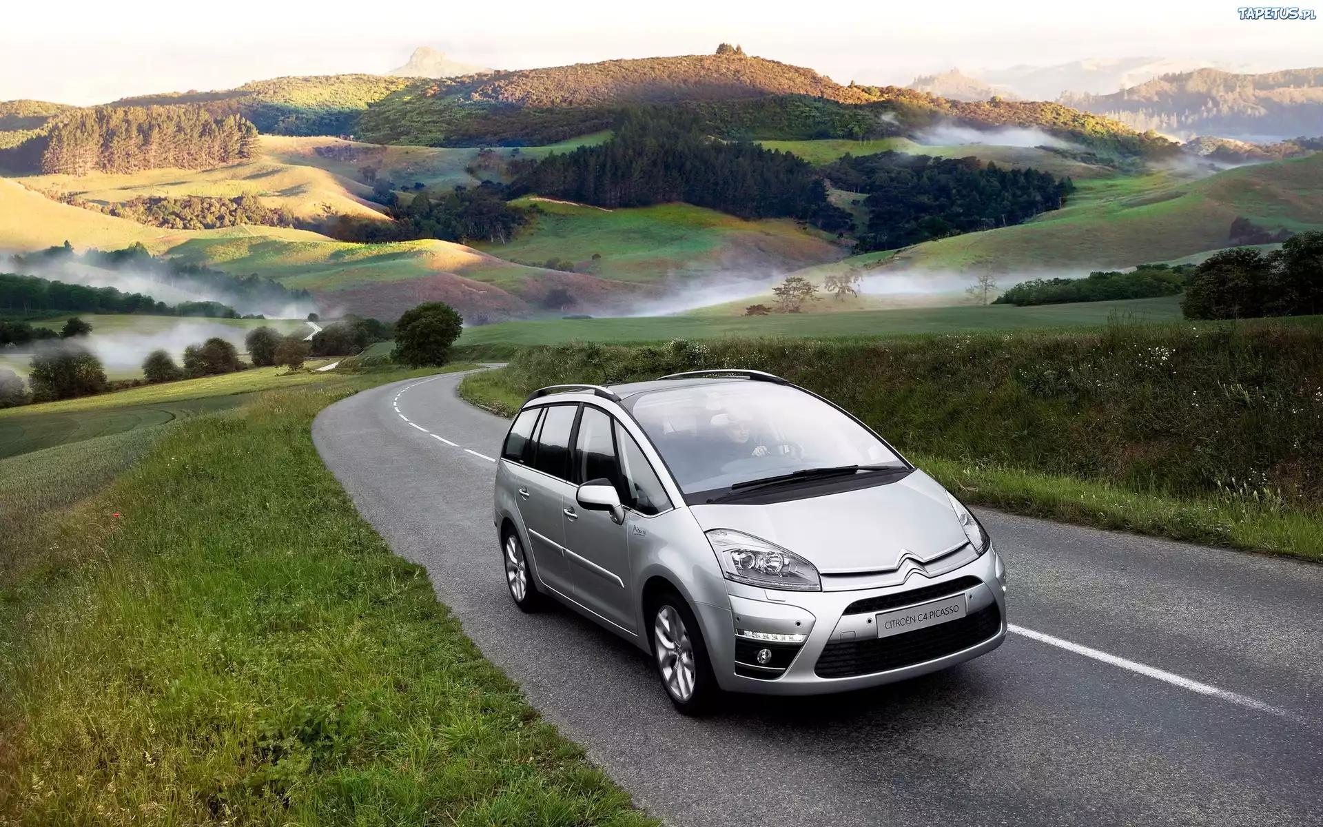 Citroen, Picasso, Droga, Góry, Lasy, Mgła