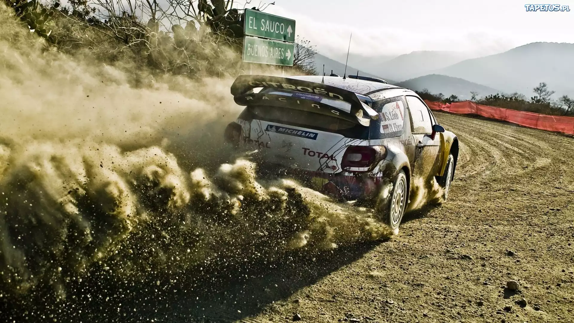 Rajdowy, Citroen, DS3, WRC