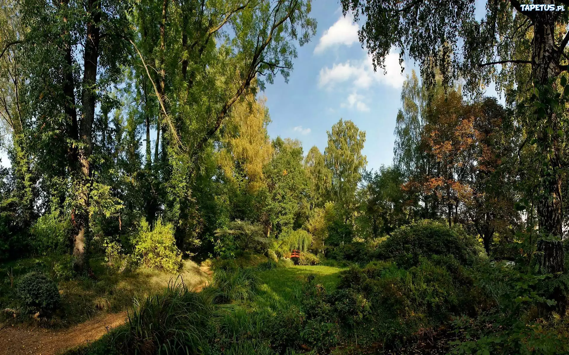 Park, Czerwony, Mostek, Obłoki, Światło, Cień, Drzewa