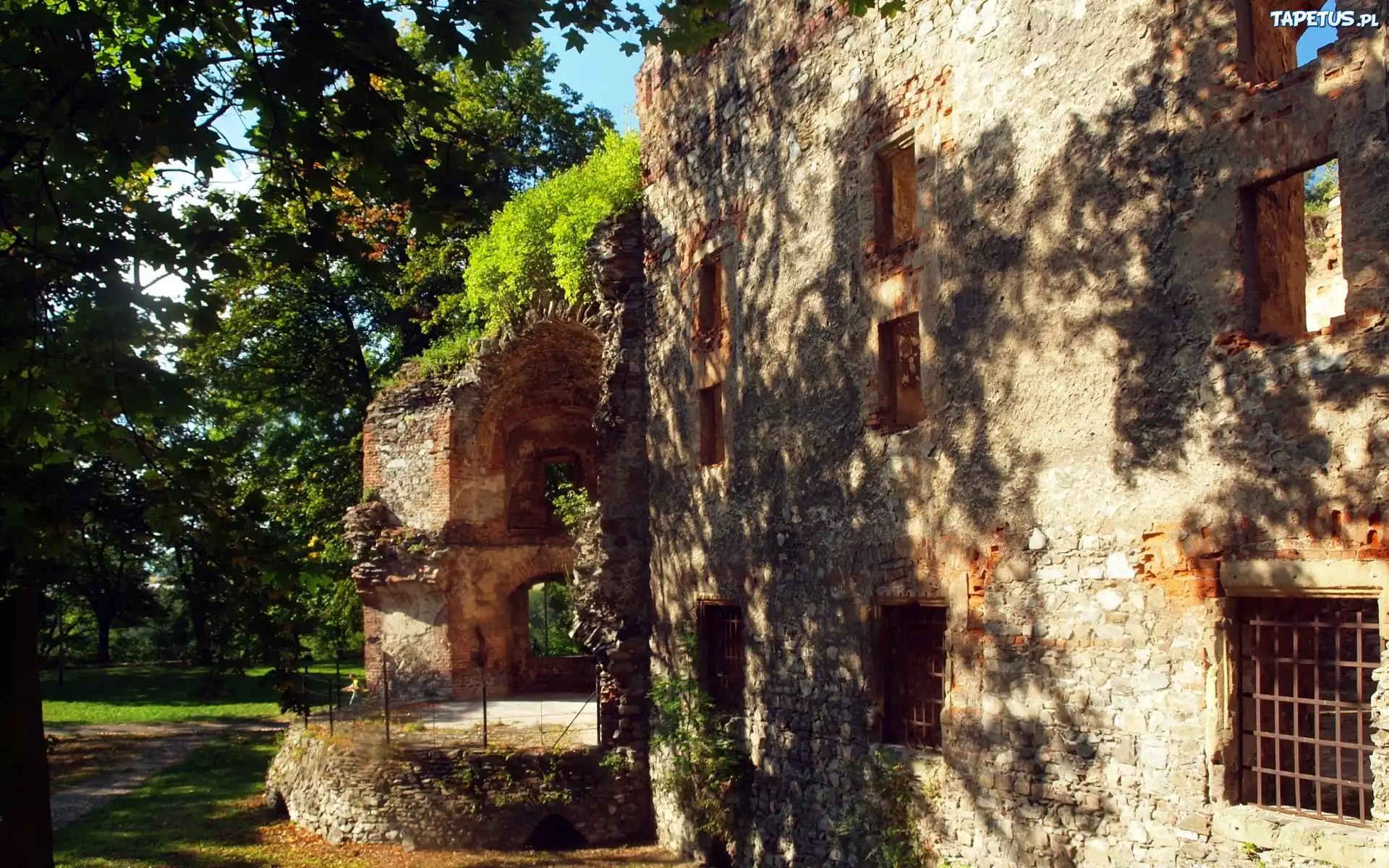 Ząbkowice Śląskie, Ruiny, Zamek