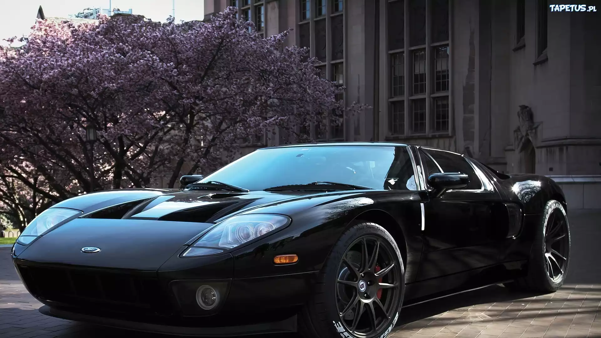 Ford, GT