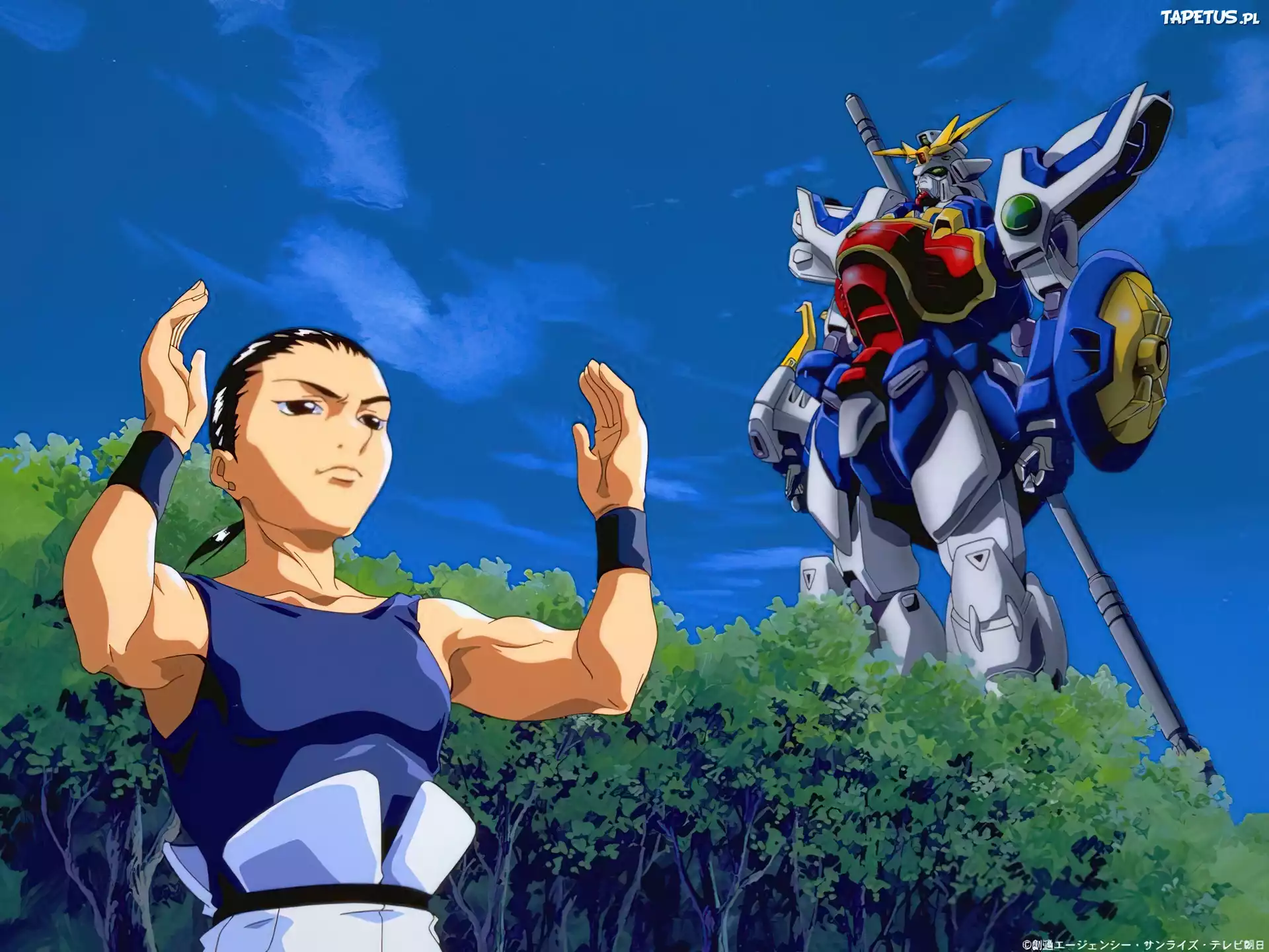 Gundam Wing, robot, kobieta, człowiek, las