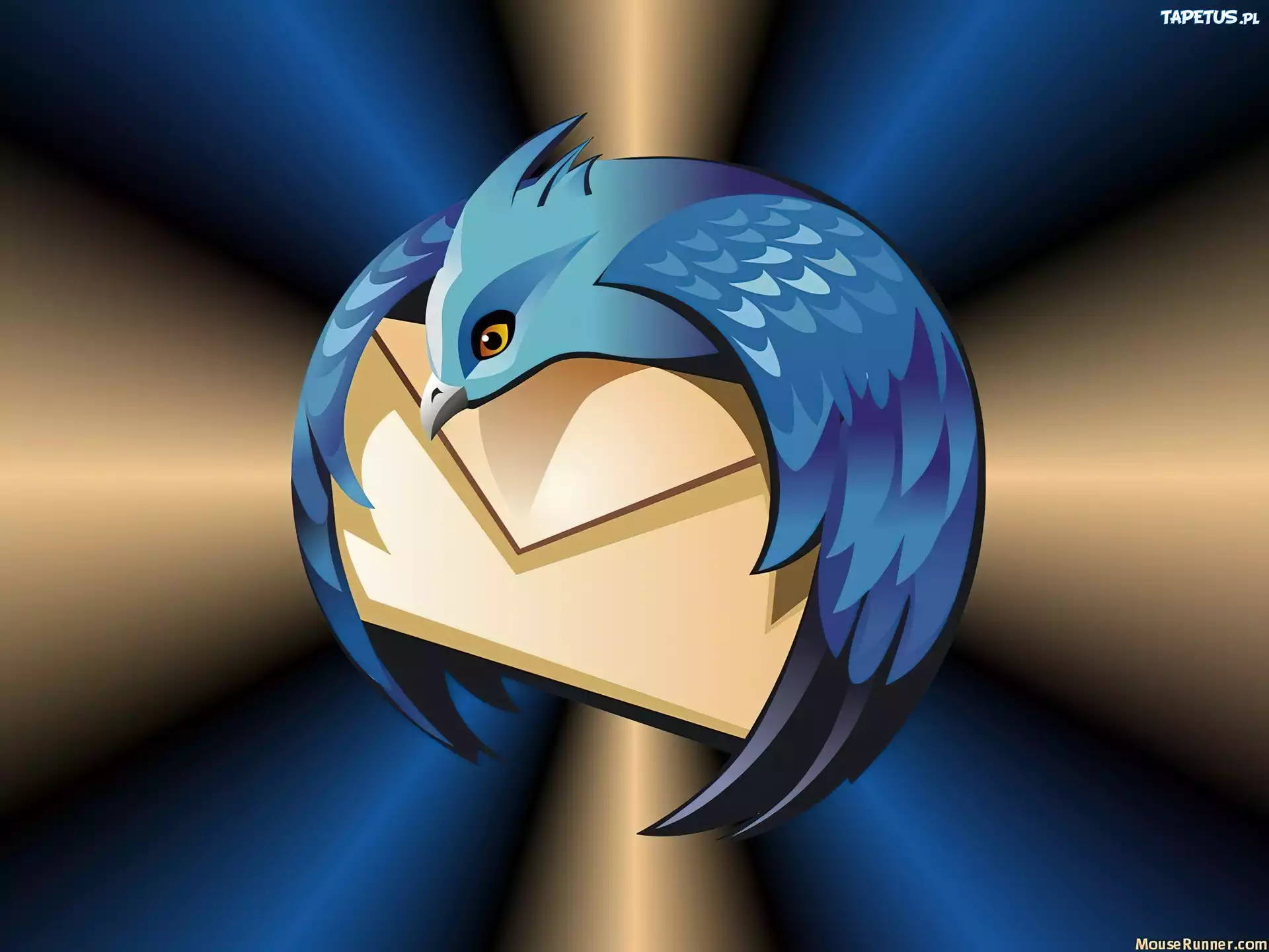 Thunderbird, koperta, grafika, ptak