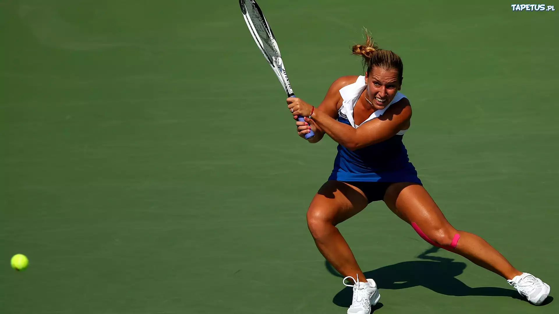 Dominika Cibulkova, Słowacka, Tenisistka