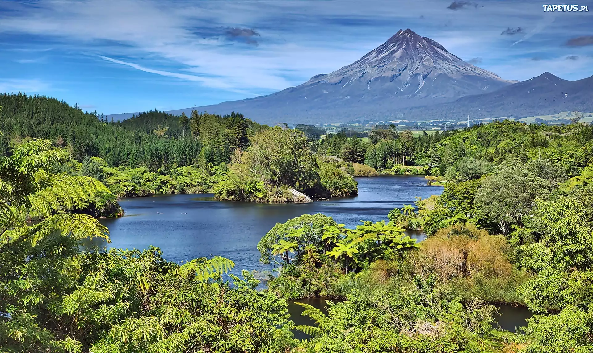 Las, Jezioro, Góra, Taranaki, Lato