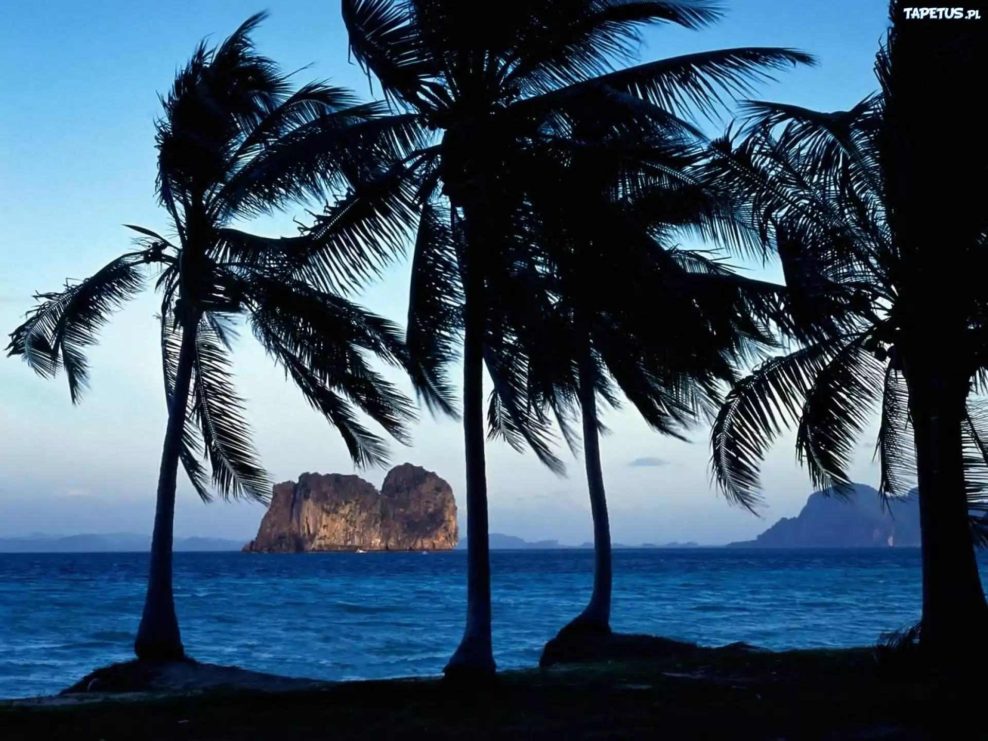 Tajlandia, Palmy, Morze