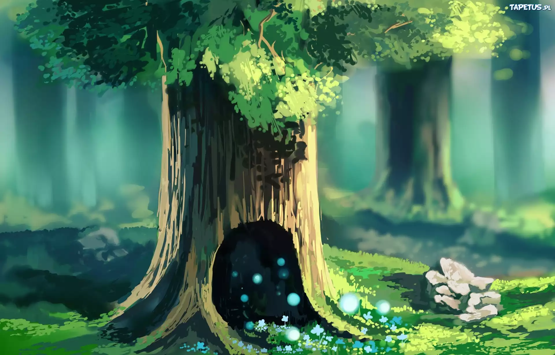 Chibionpu, Drzewa, Las