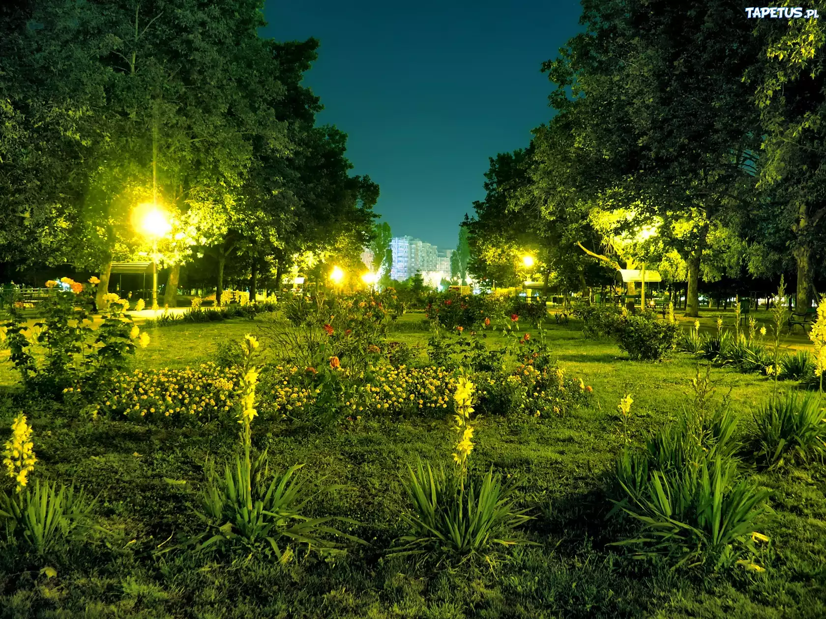 Bukareszt, Crangasi, Park, Nocą