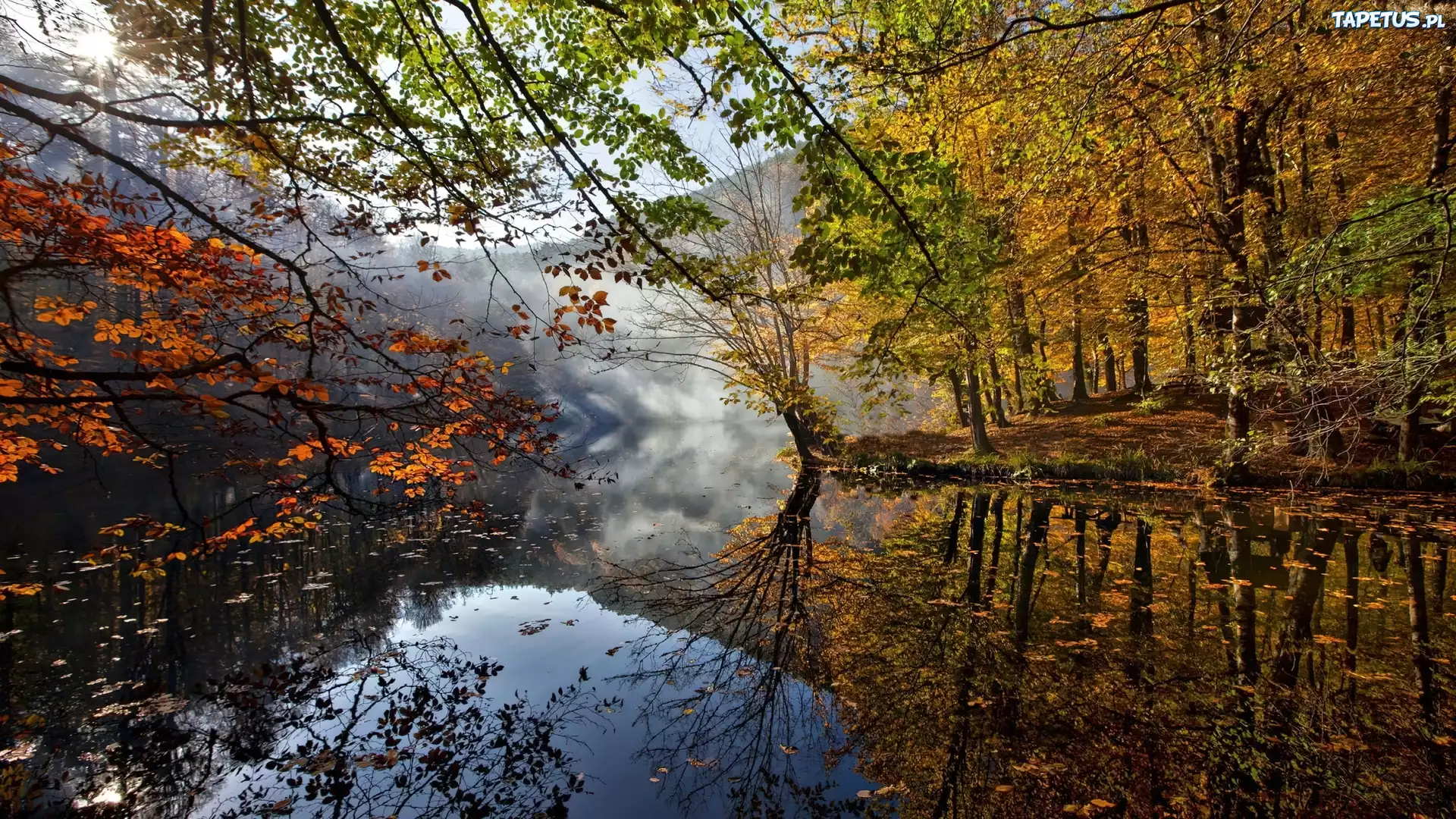Jesień, Las, Jezioro