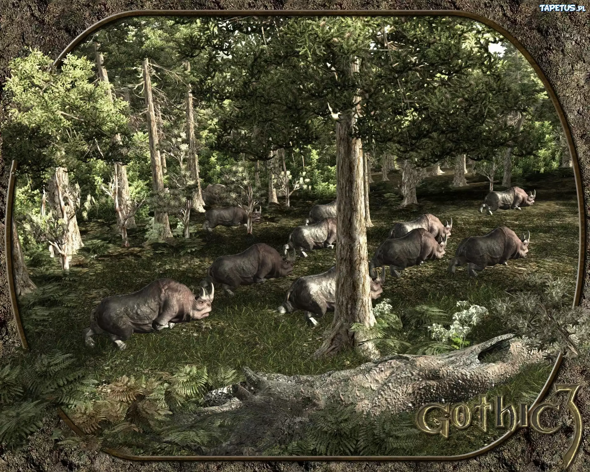 Gra, Gothic