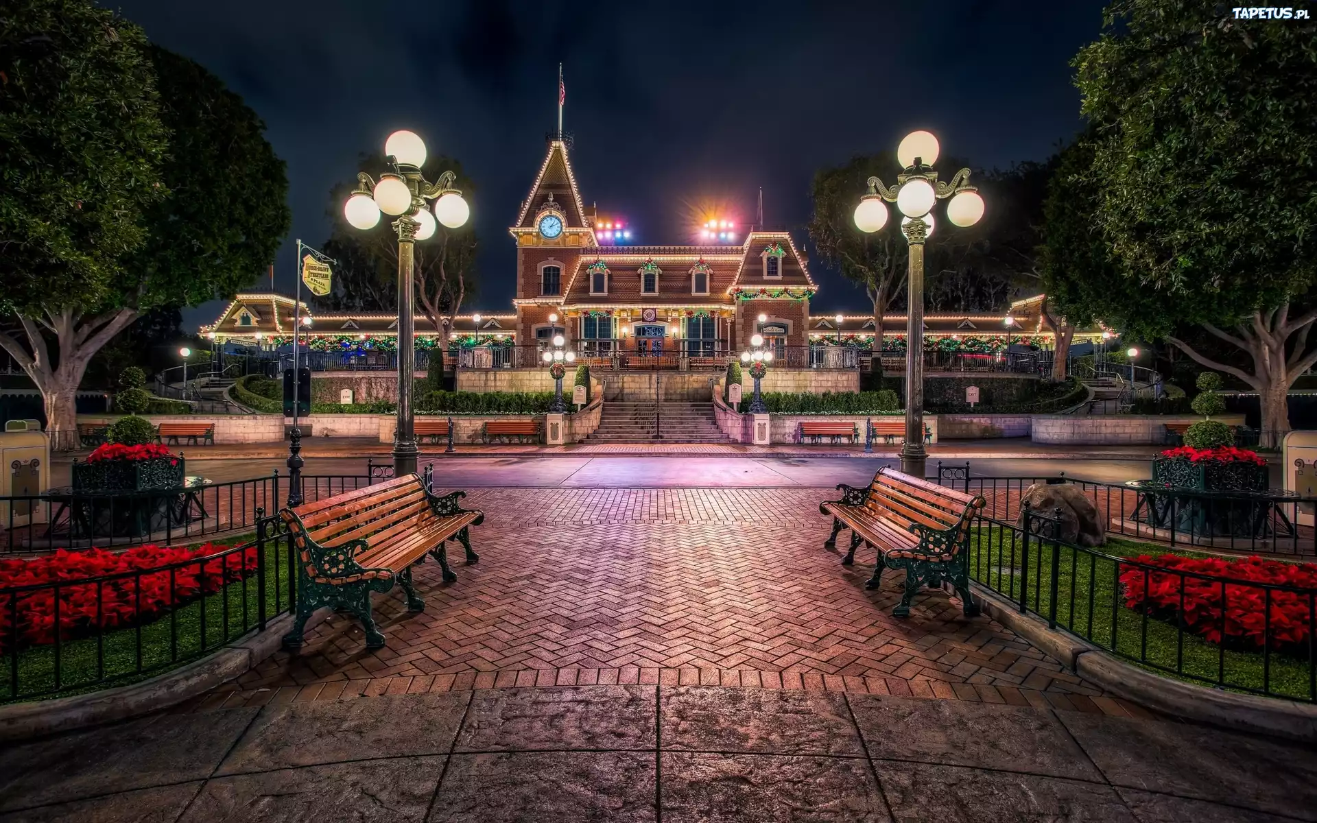 Dom, Świąteczne, Oświetlenie, Disneyland, Kalifornia