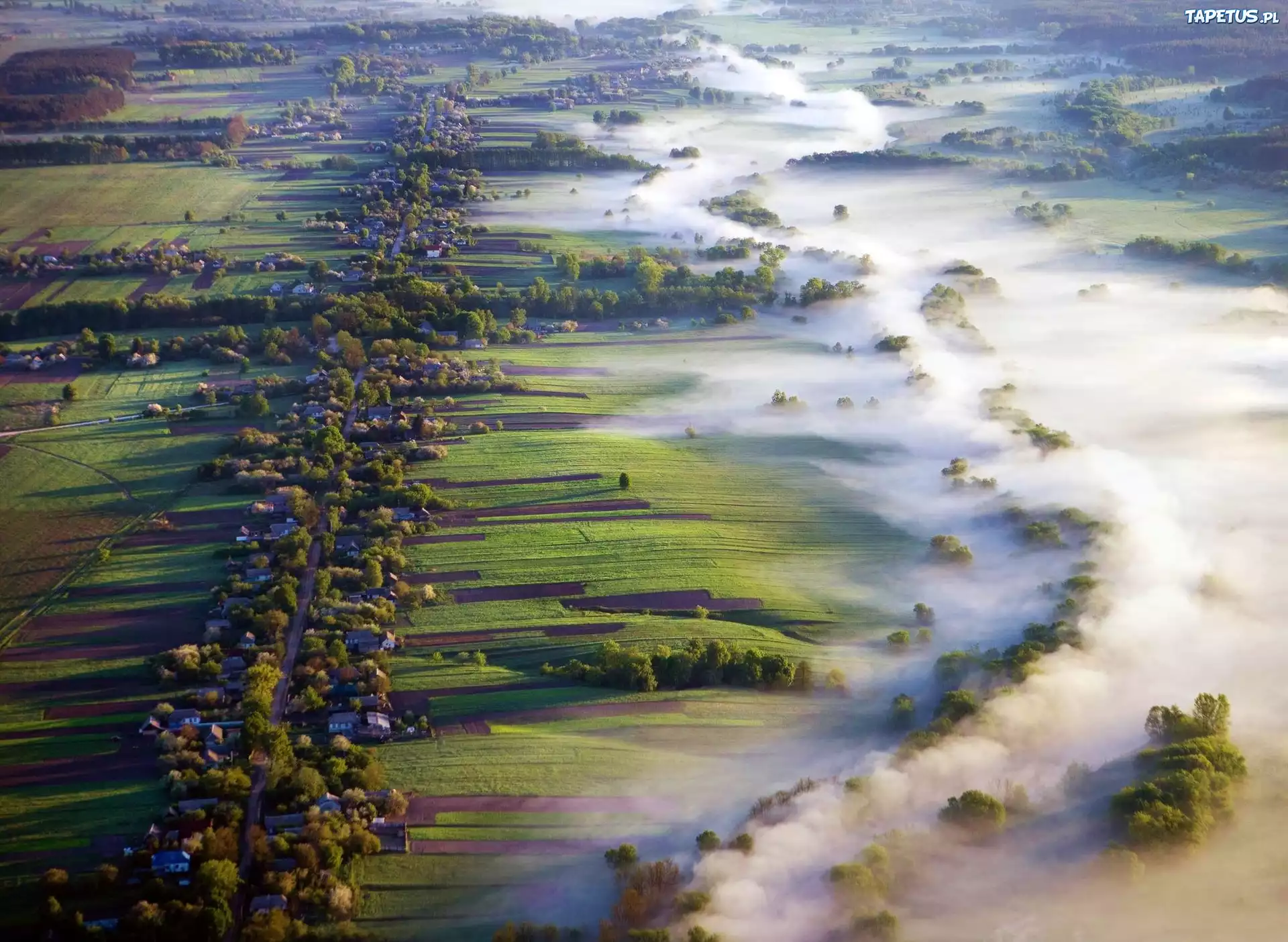 Panorama, Mgła, Łąki