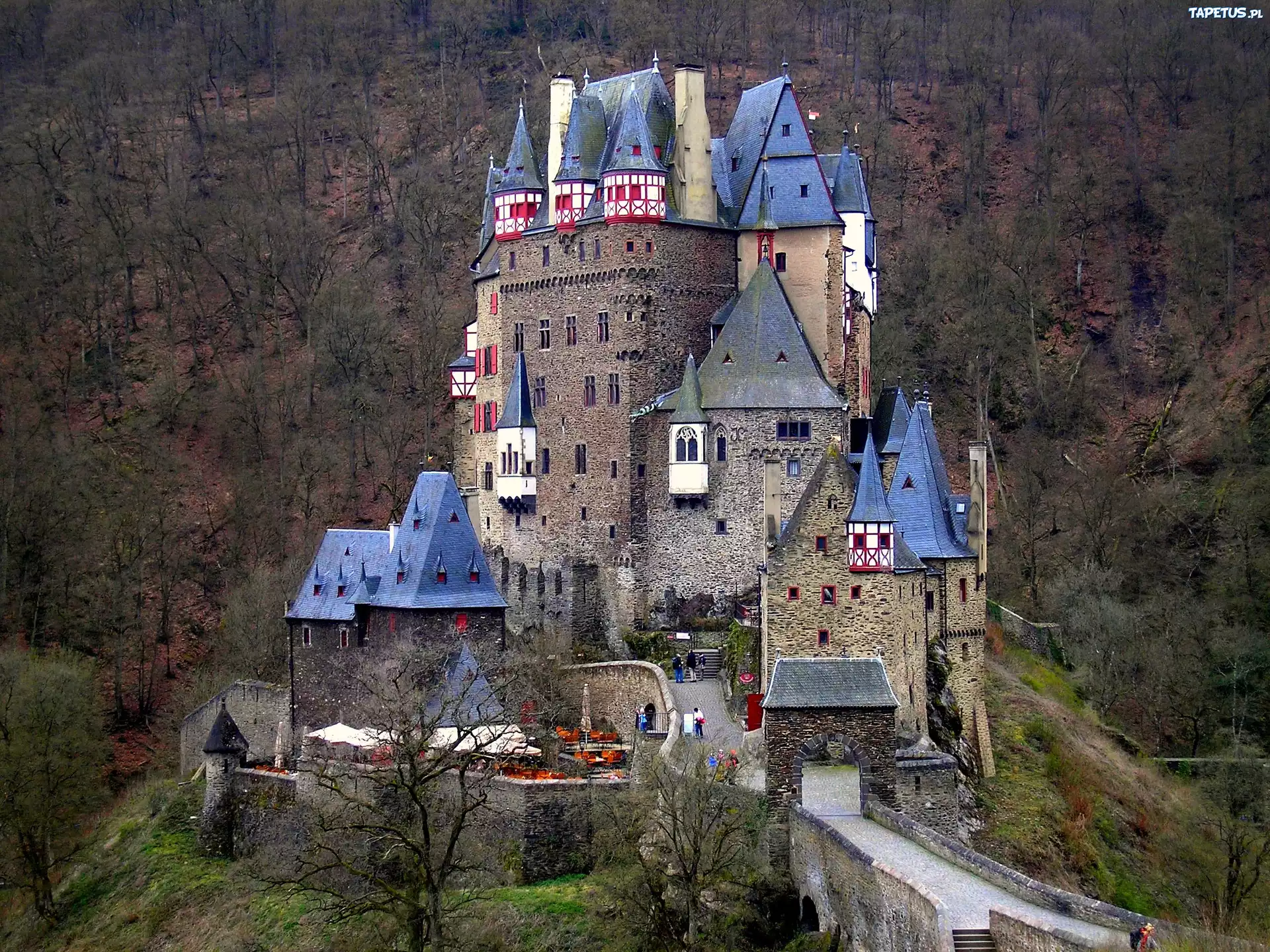 Zamek, Eltz, Wzgórza, Lasy