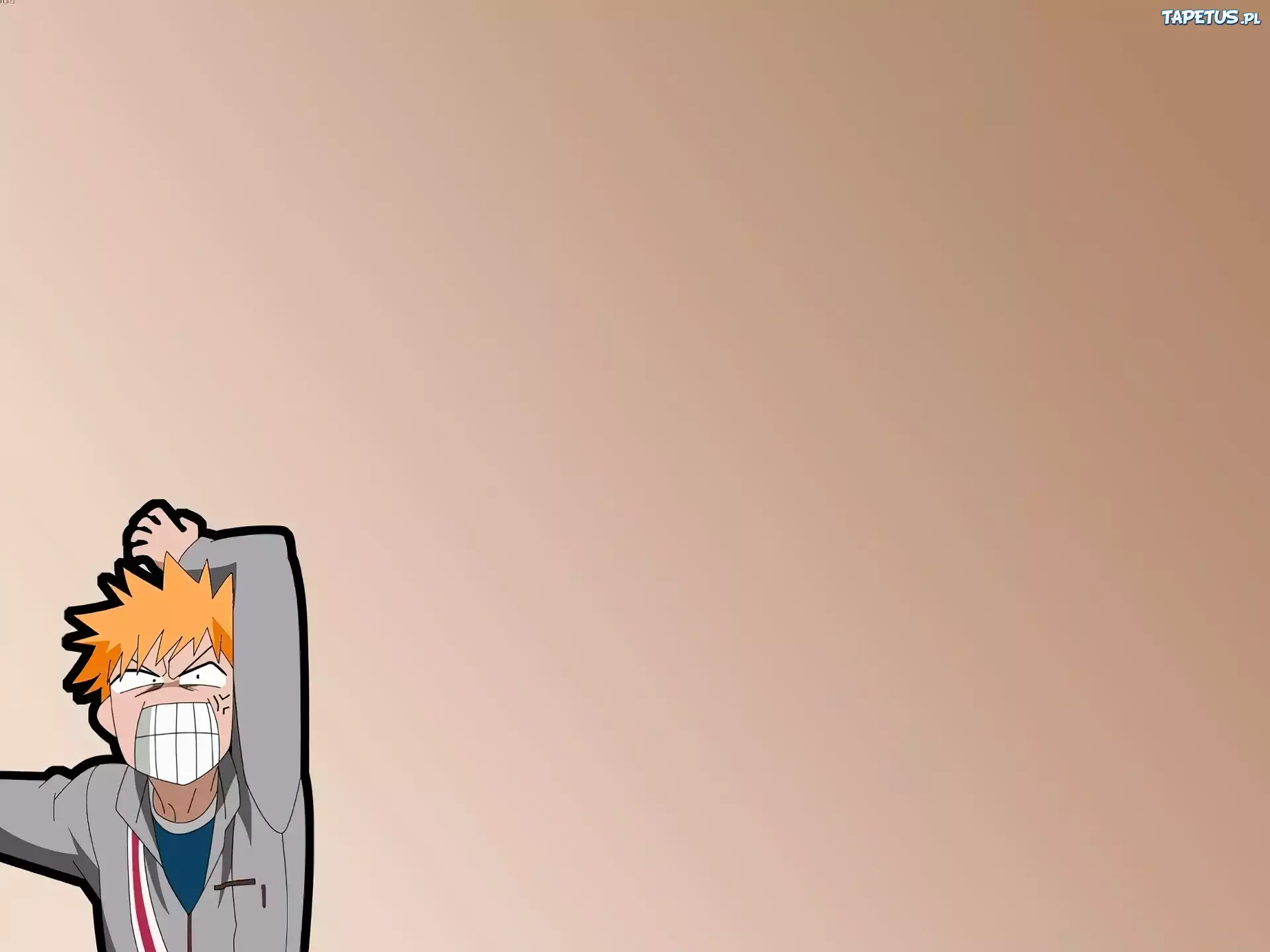 Kurosaki Ichigo