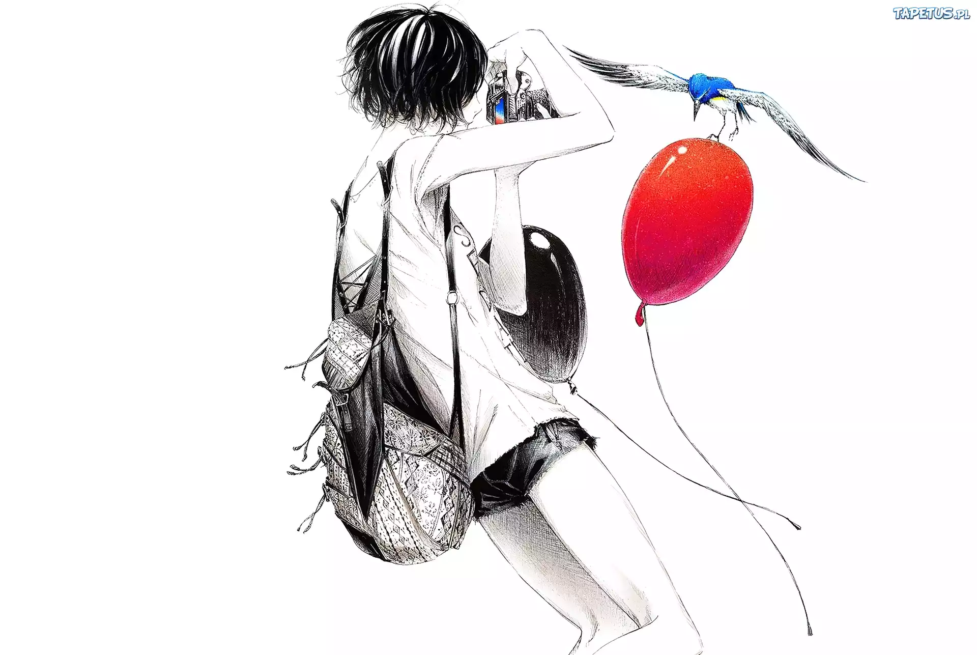 Brunetka, Fotograf, Balony, Ptak