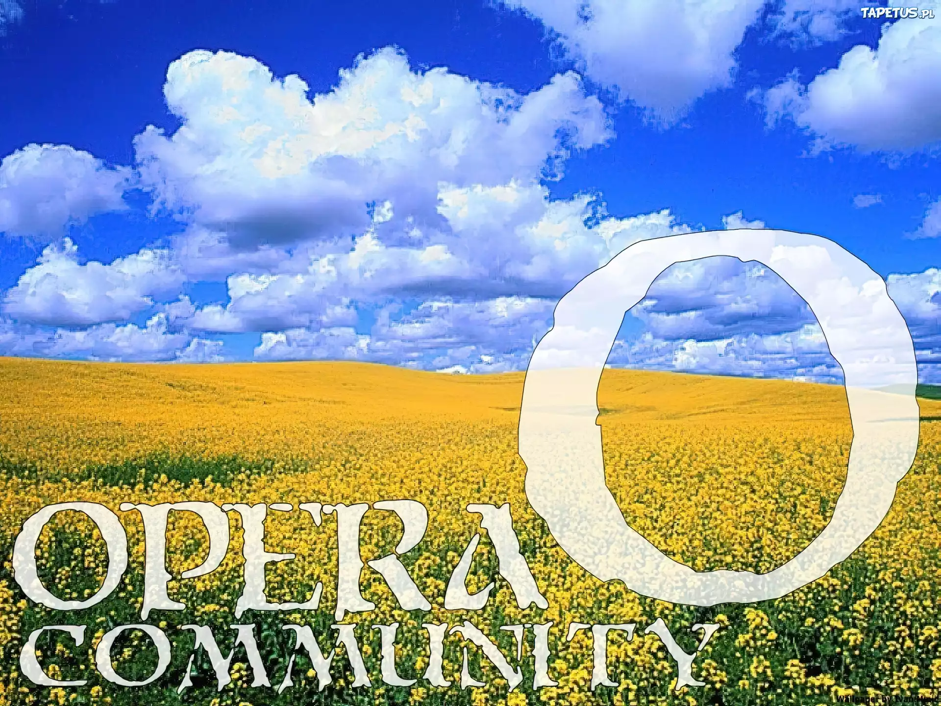 Opera, chmury, niebo, pole, rzepak