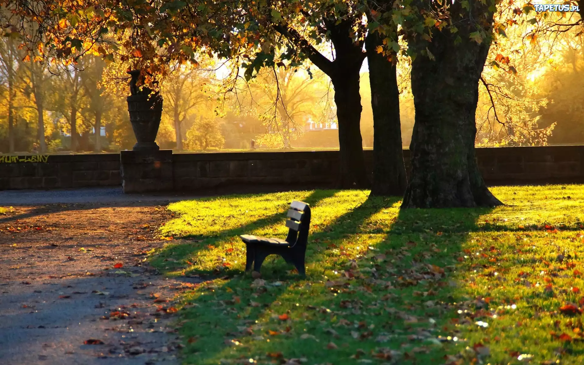 Park, Ławka, Alejki, Liście, Przebijające, Światło, Jesień