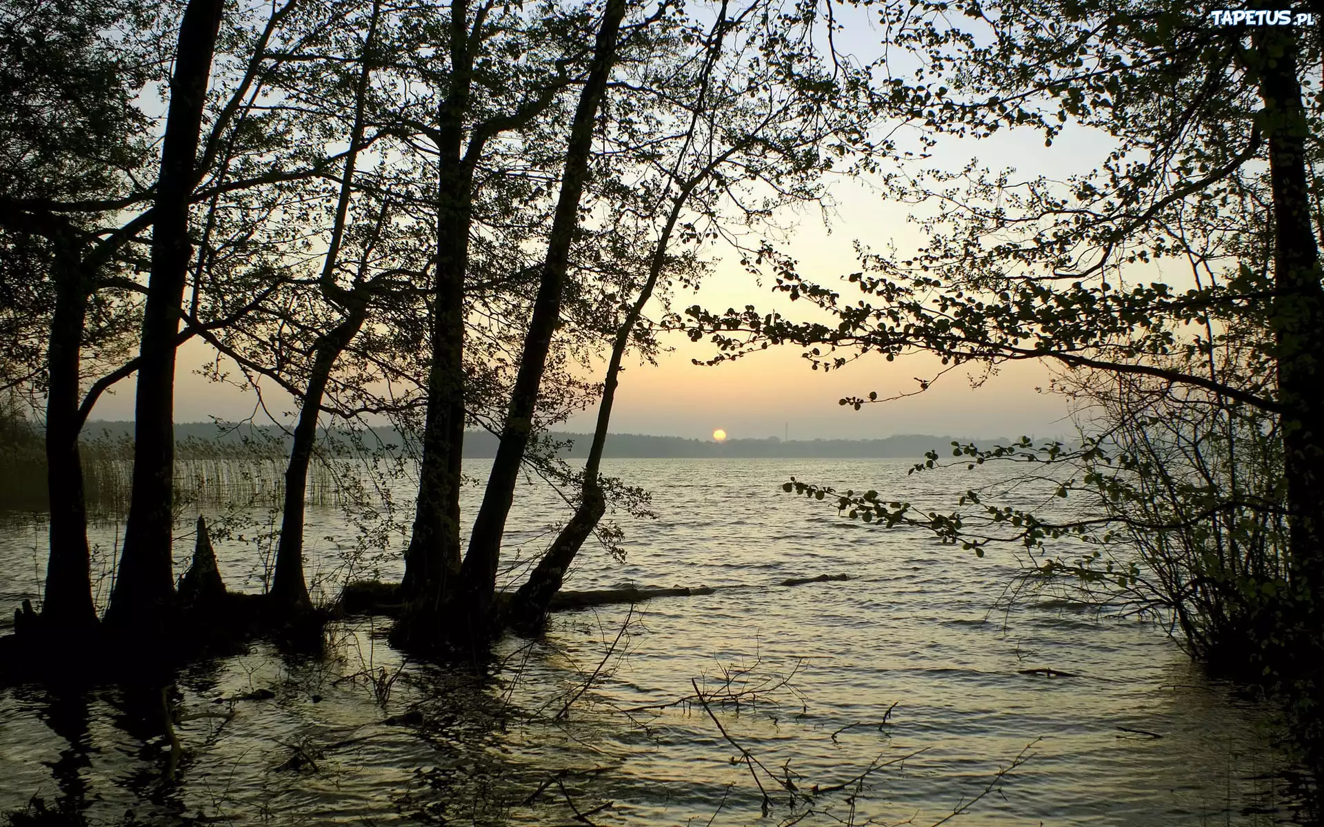 Jezioro, Drzewa, Trawy, Zachód, Słońca