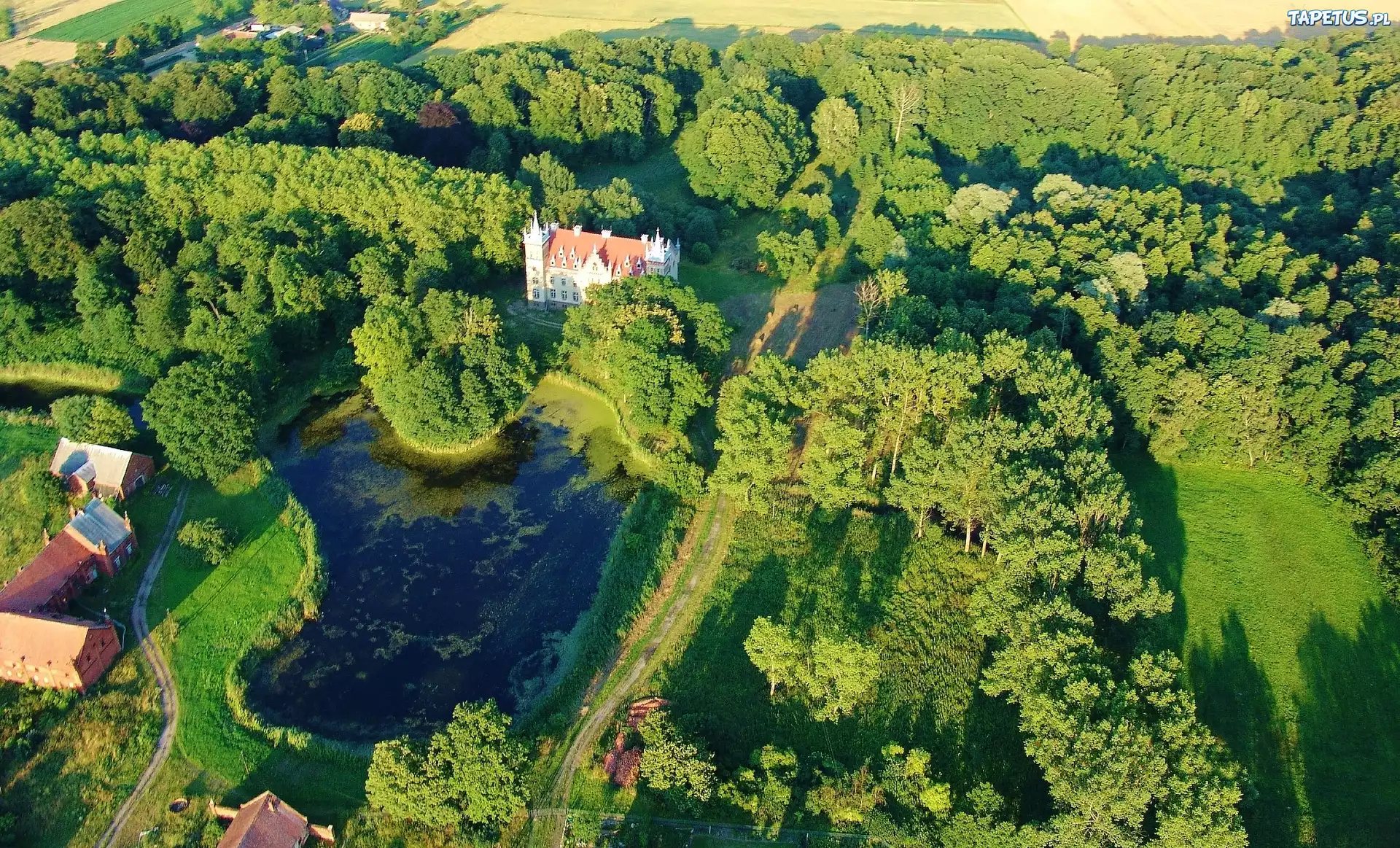 Park, Zamek, Roślinność, Staw