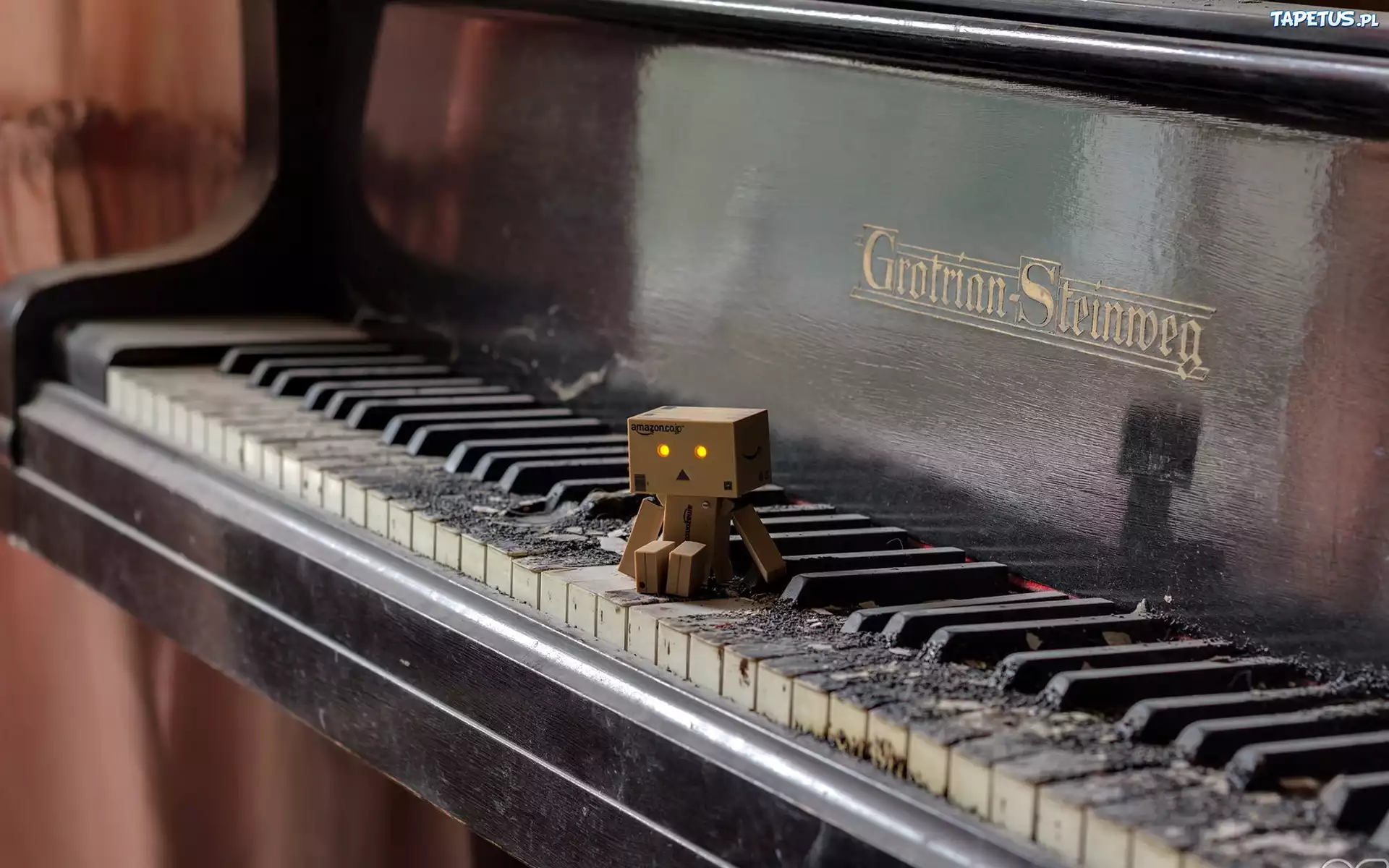 Danbo, Pianino