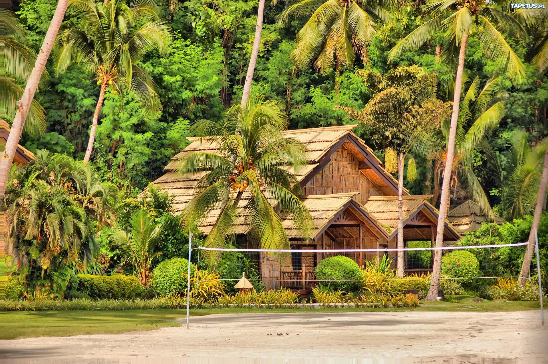 Palmy, Domek, Kurort, Wyspa Samal, Davao, Filipiny