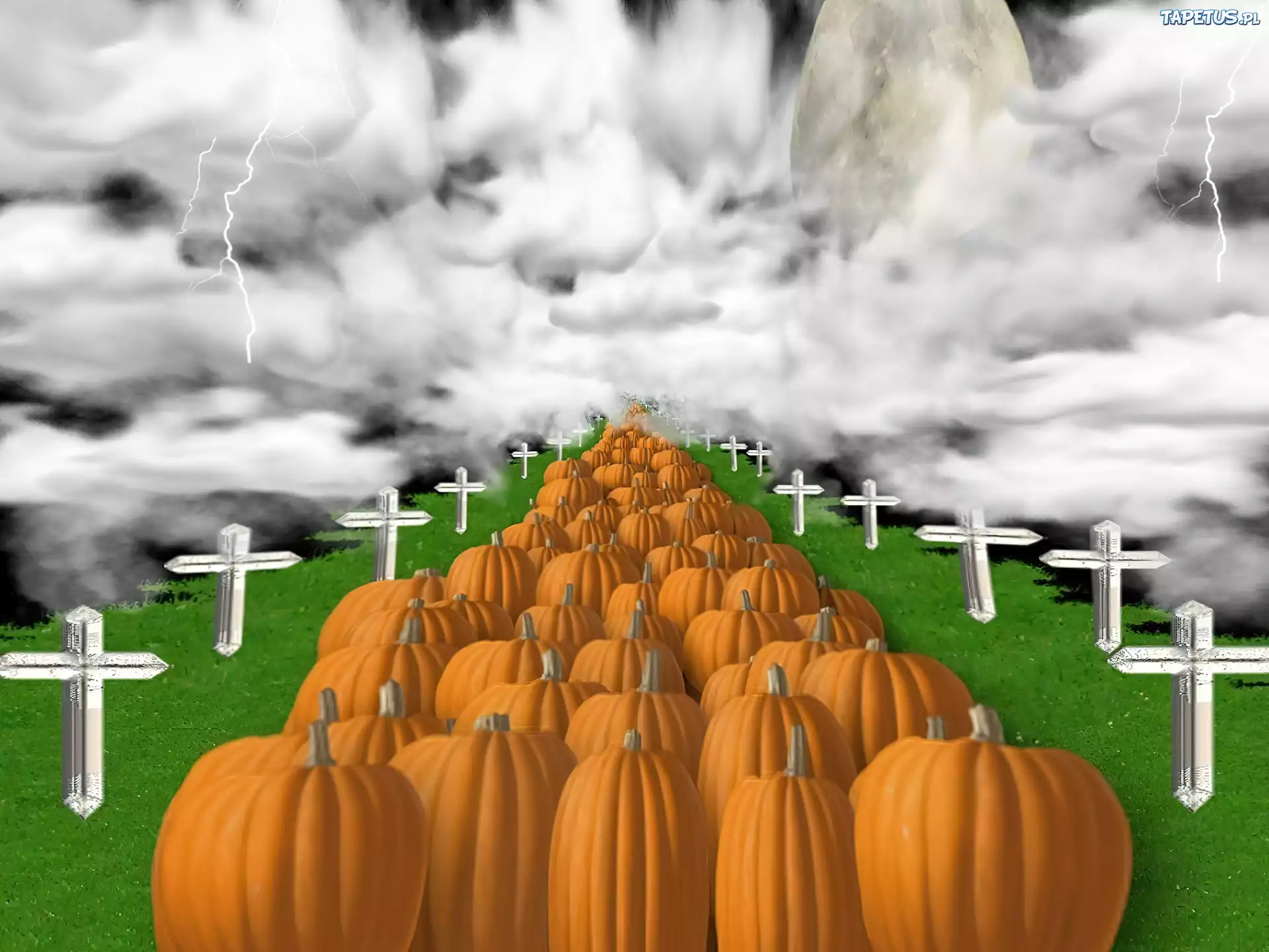 Halloween,krzyże , dynie