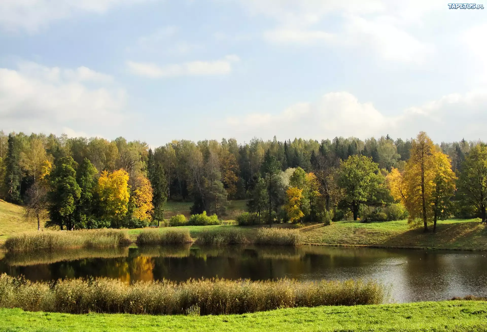 Jezioro, Lasy, Łąki, Jesień