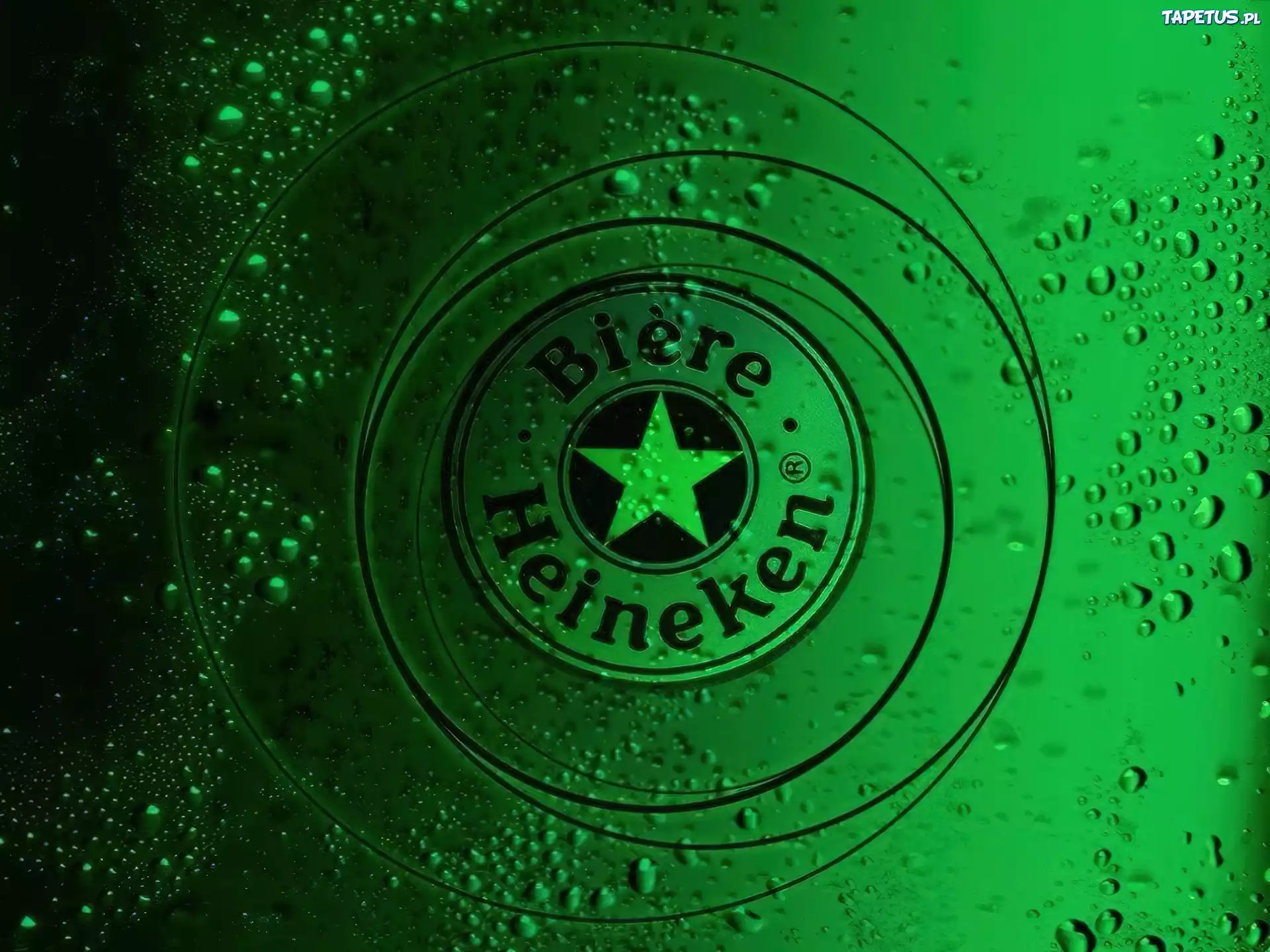 Piwo, Heineken