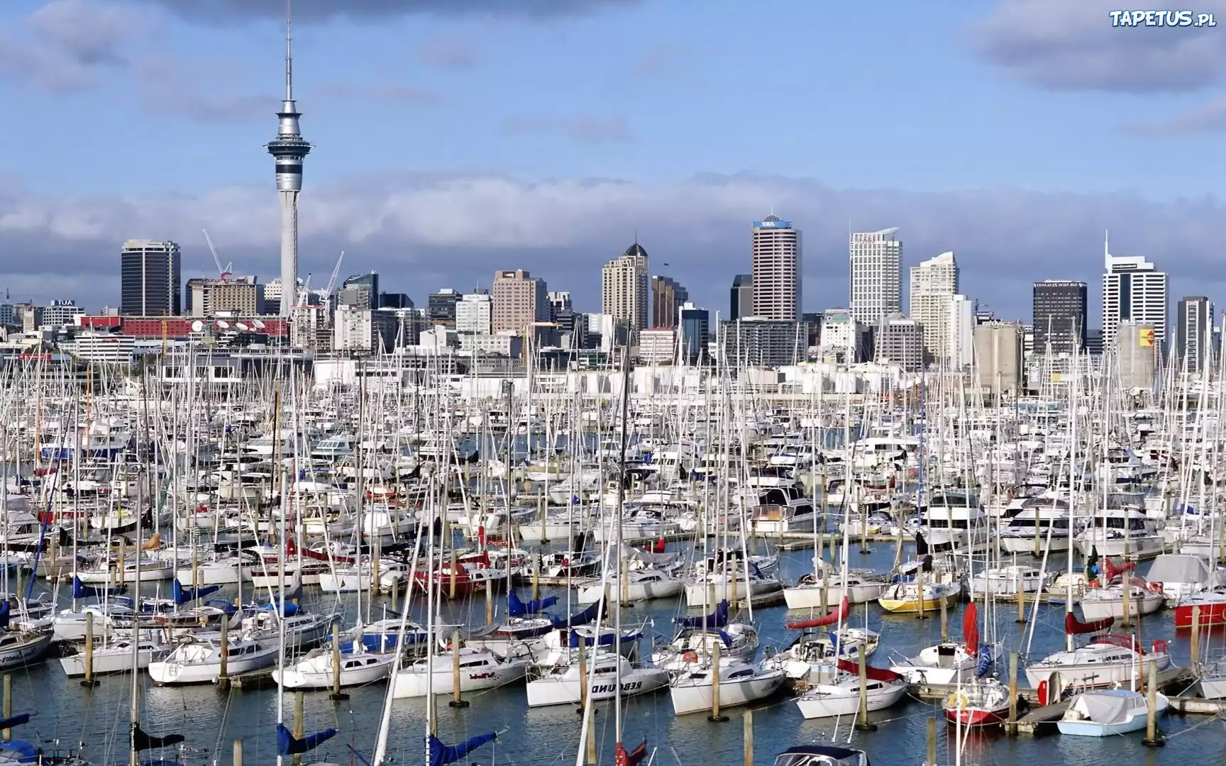 Nowa Zelandia, Auckland, Miasto, Jachty