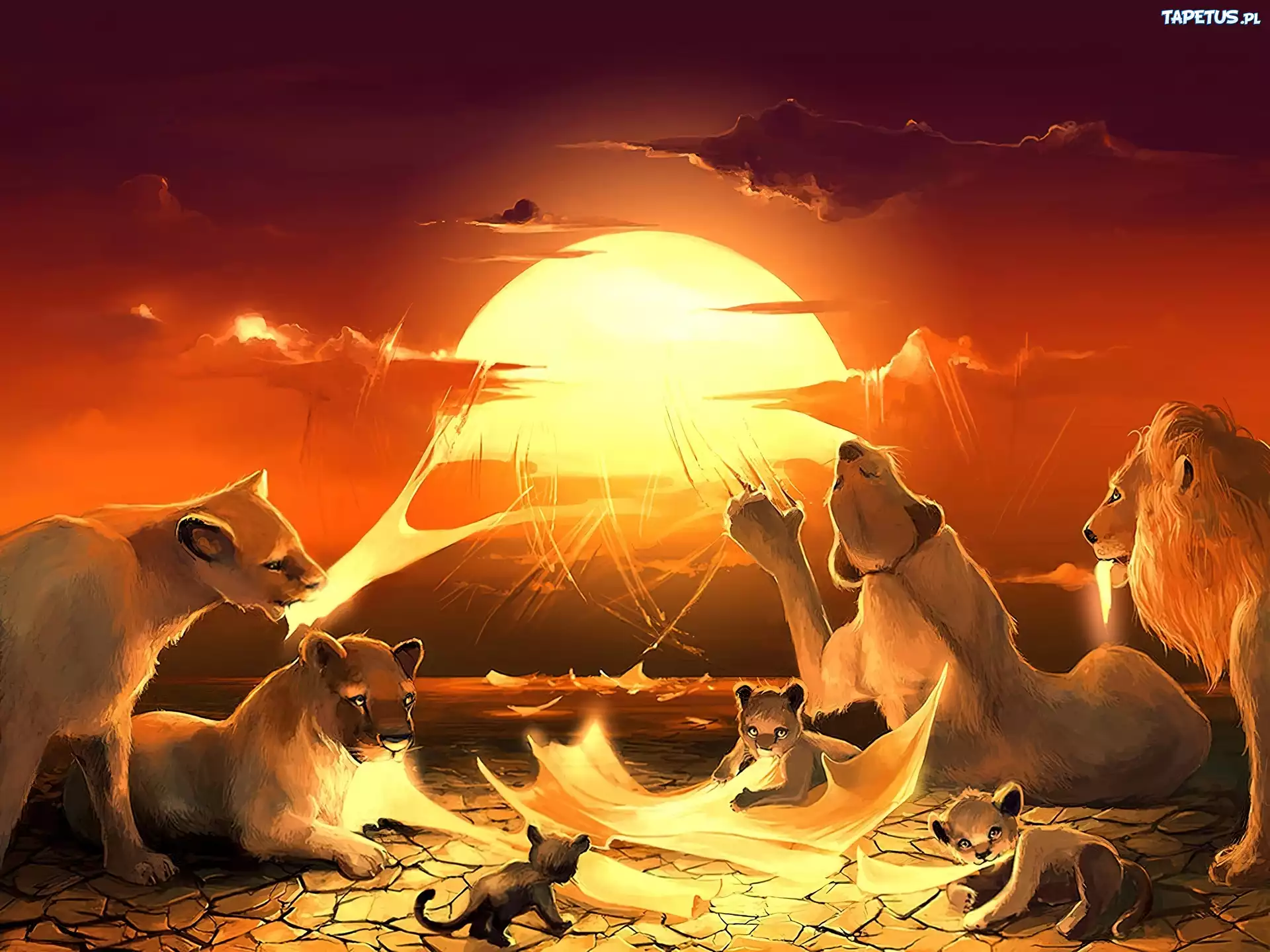 Cyril Rolando, Lwy