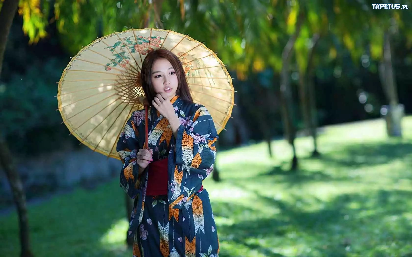 Japonka, Kimono, Parasol, Parasolka