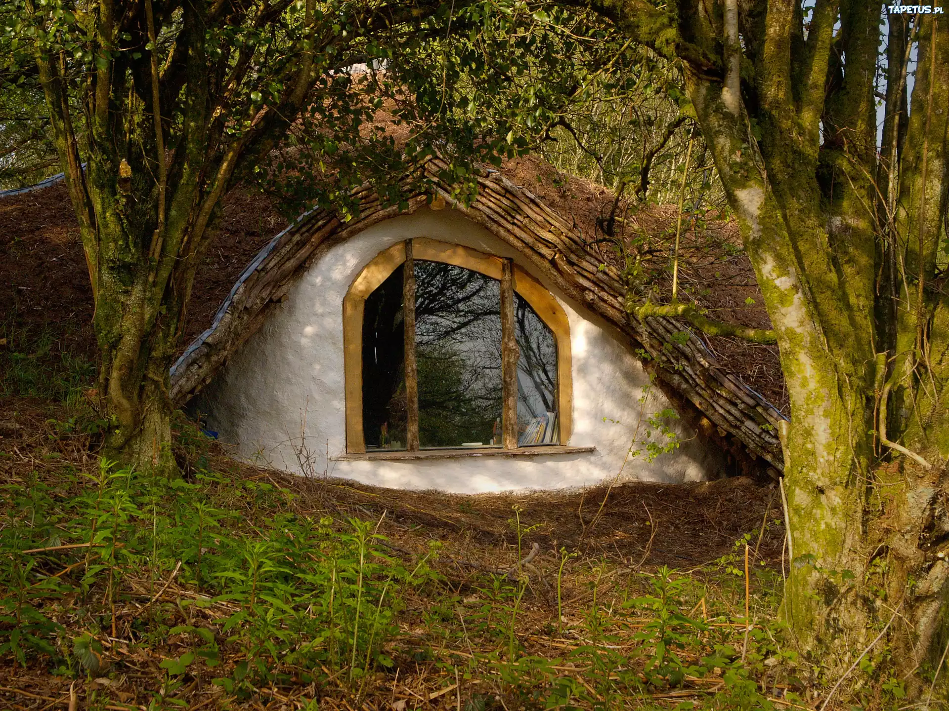 Domek, Ziemny, Hobbit