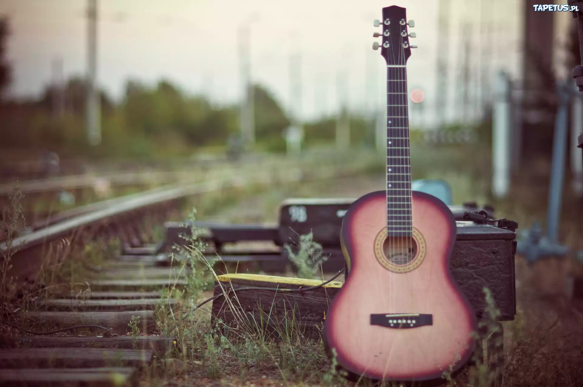 Gitara, Tory, Kolejowe