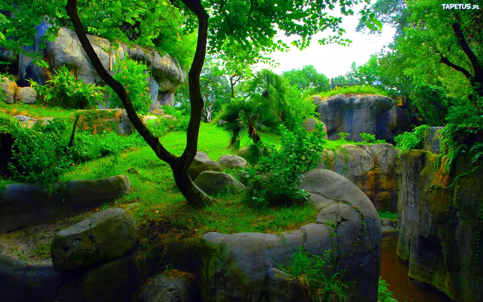 Park, Skały