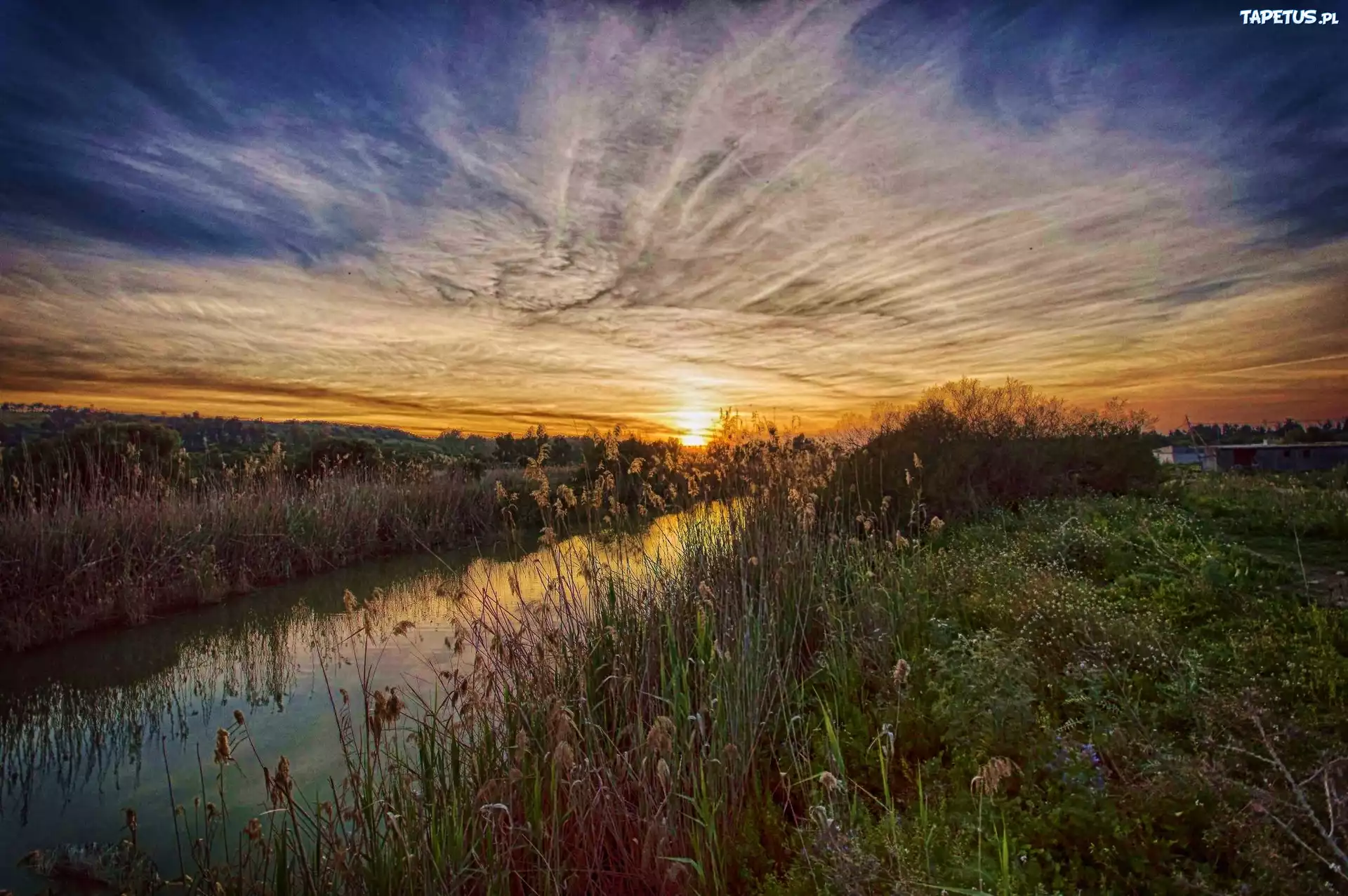 Zachód, Słońca, Rzeczka, Roślinność