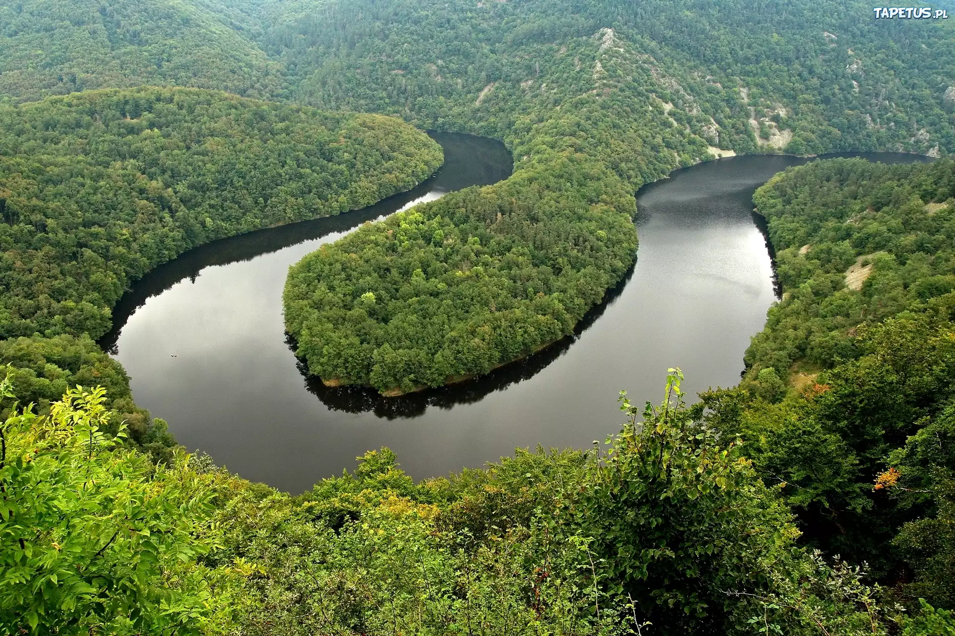 Rzeka, Lasy