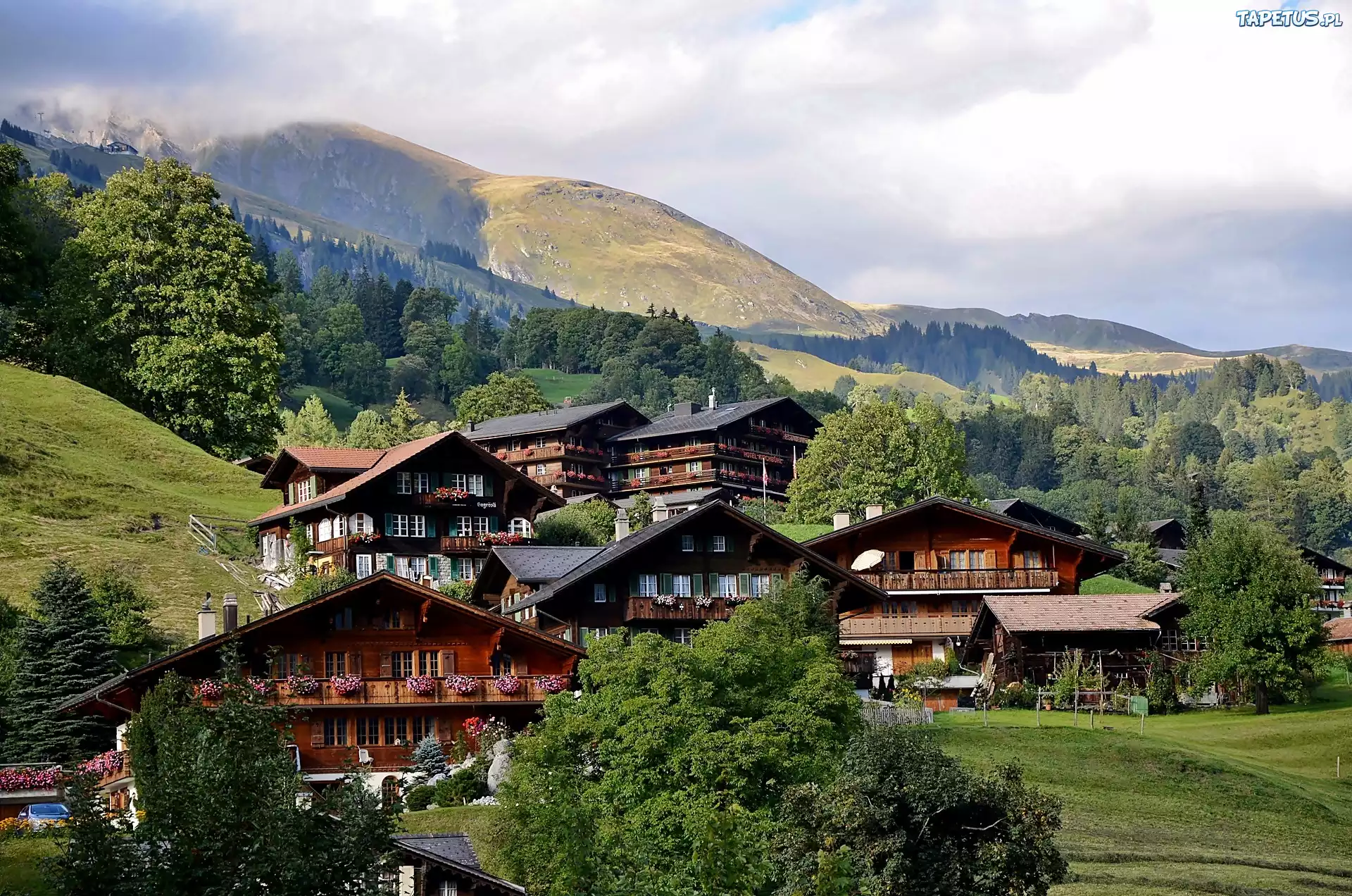 Alpy, Lasy, Łąki, Wioska, Grindelwald