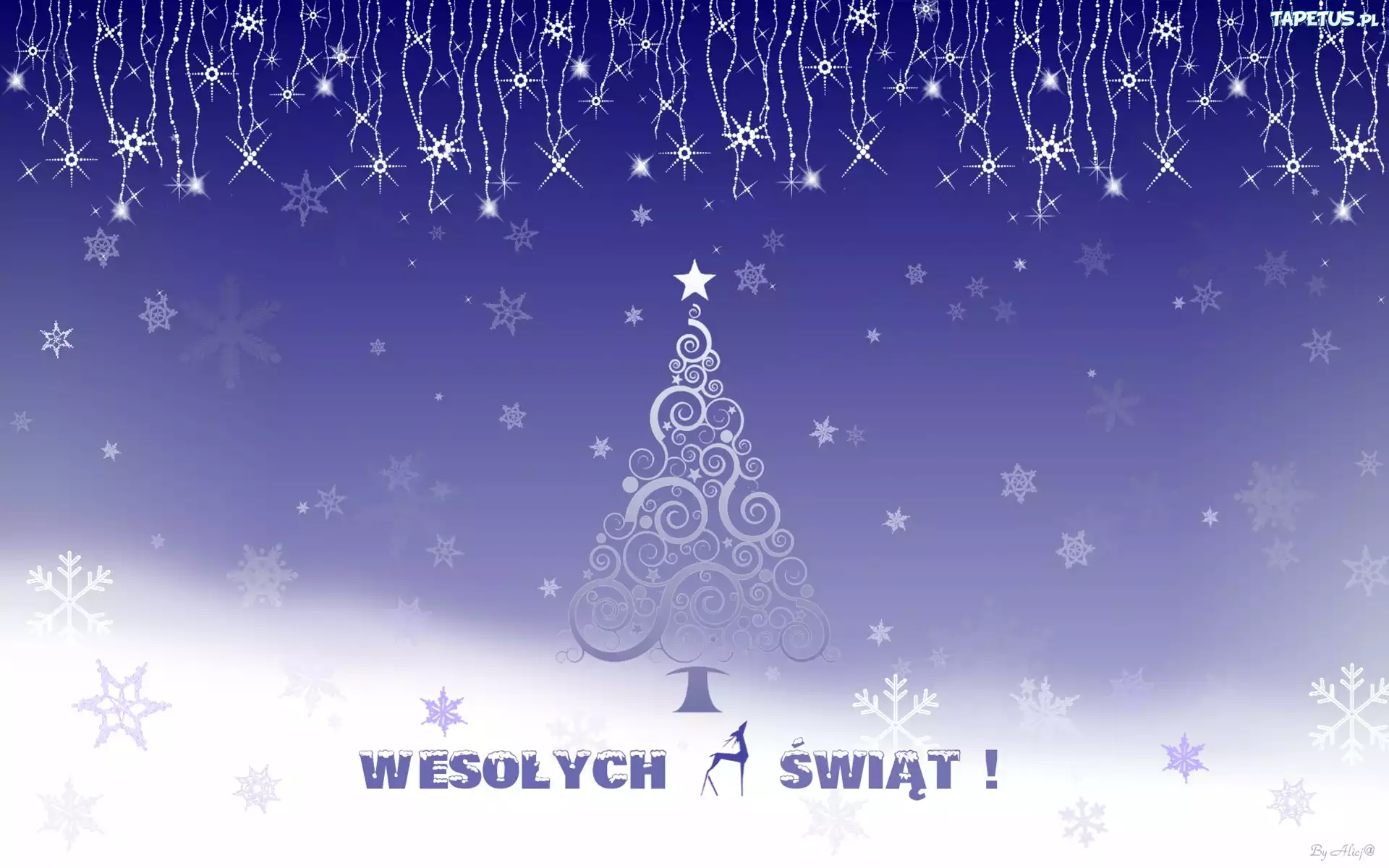 Choinka, Gwiazdki, Napis