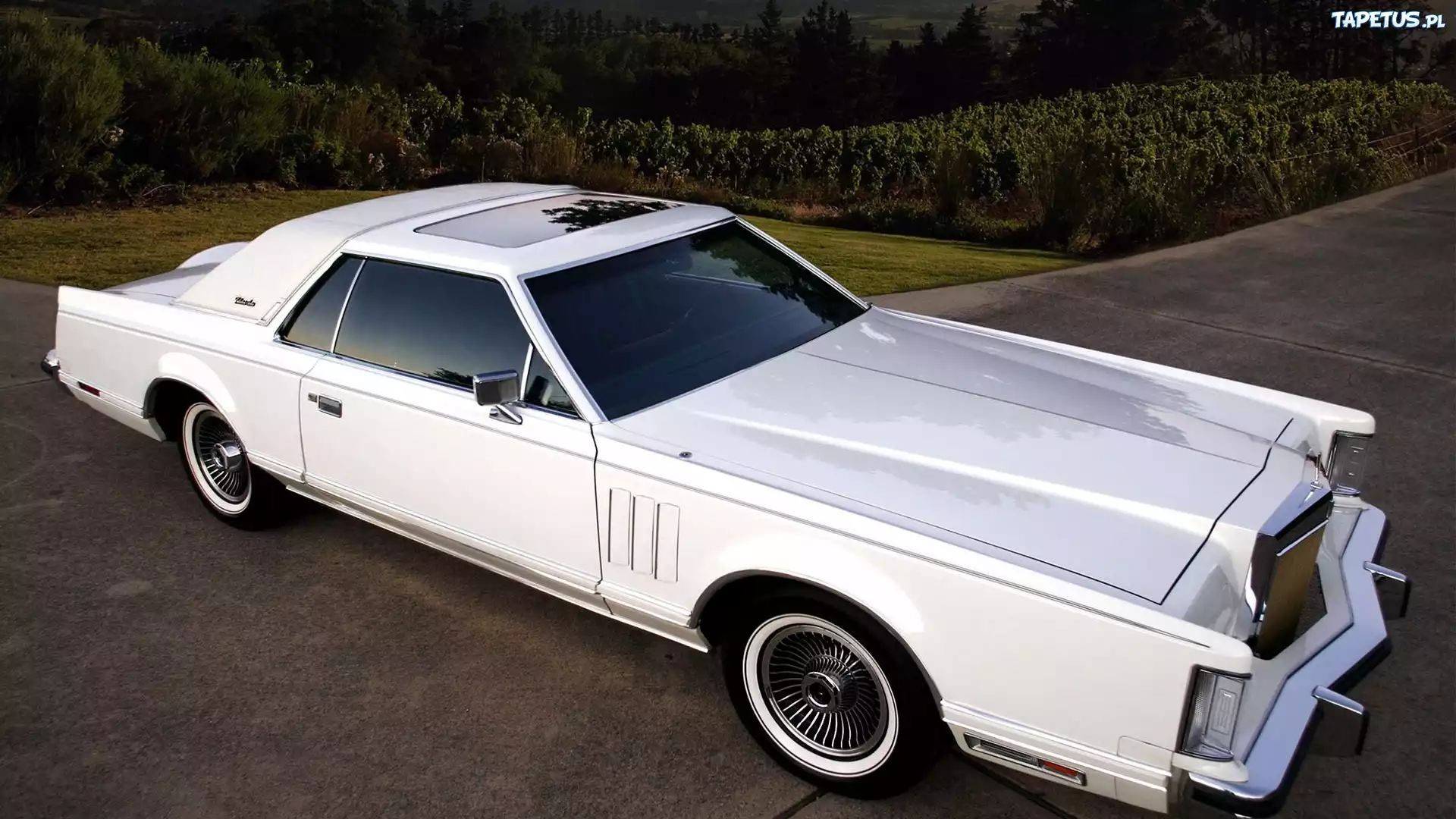 Lincoln, Continental, Mark V, Droga, Drzewa