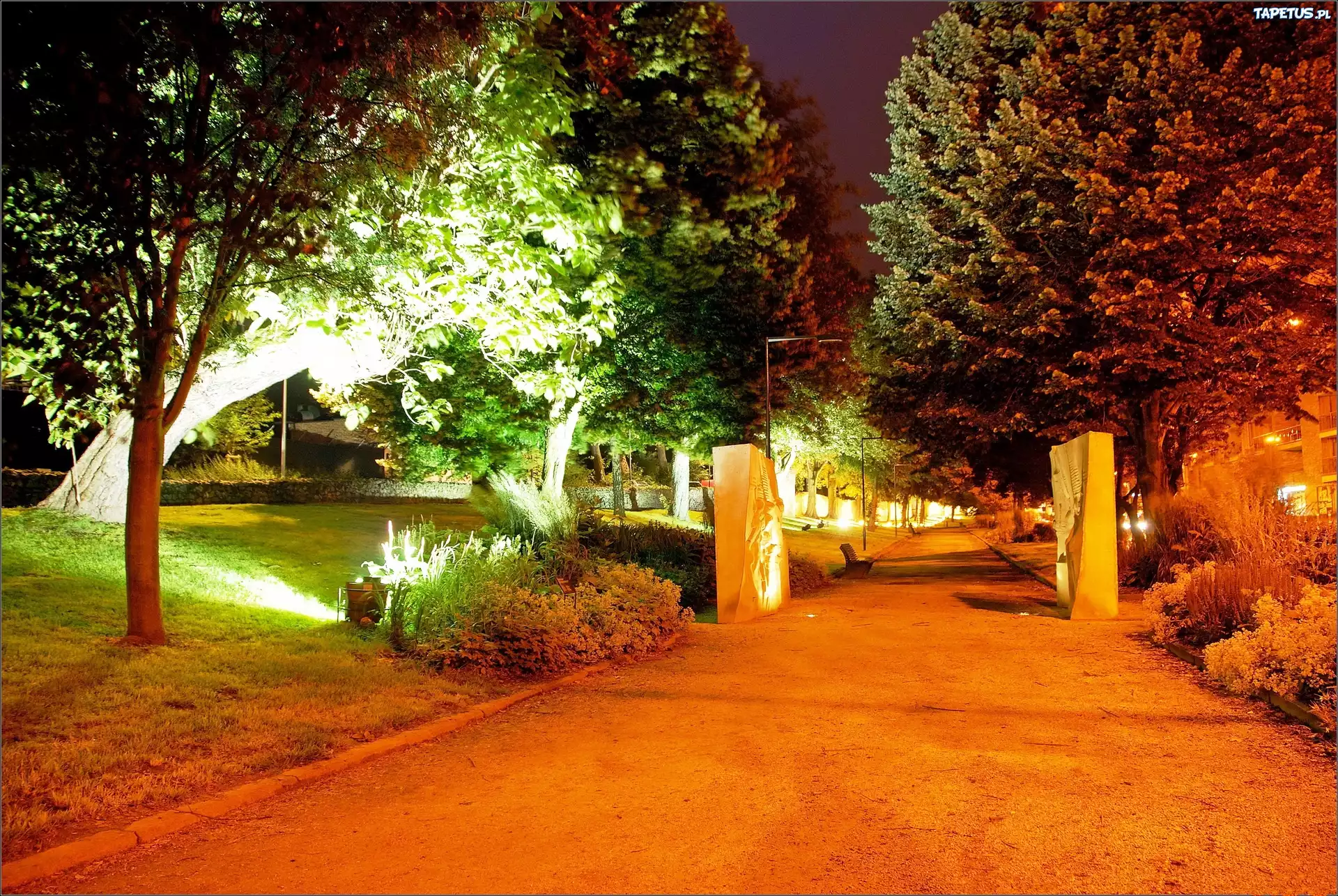 Park, Aleja