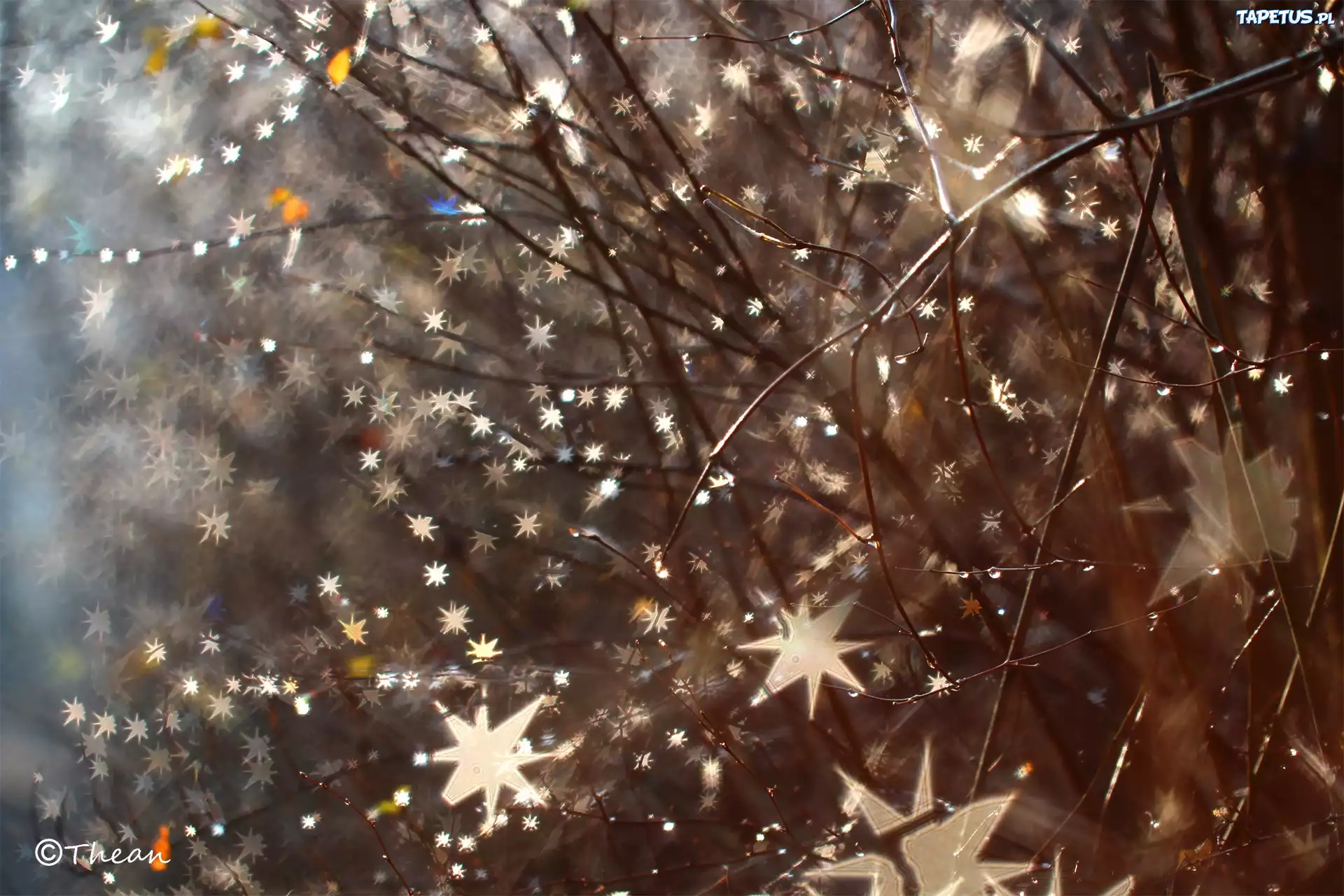 Gałązki, Bokeh