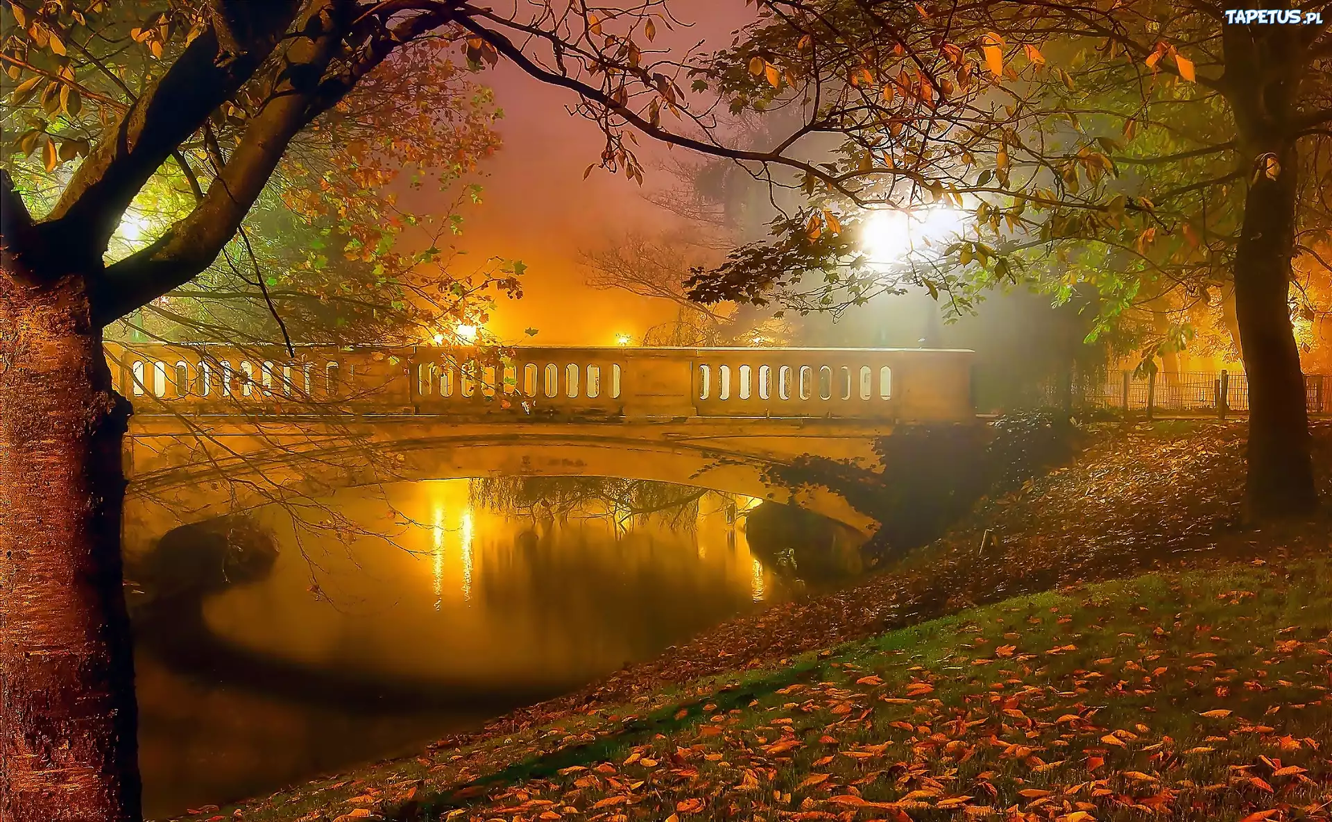 Jesień, Park, Mgła, Rzeczka, Most, Mostek, Drzewa, Liście