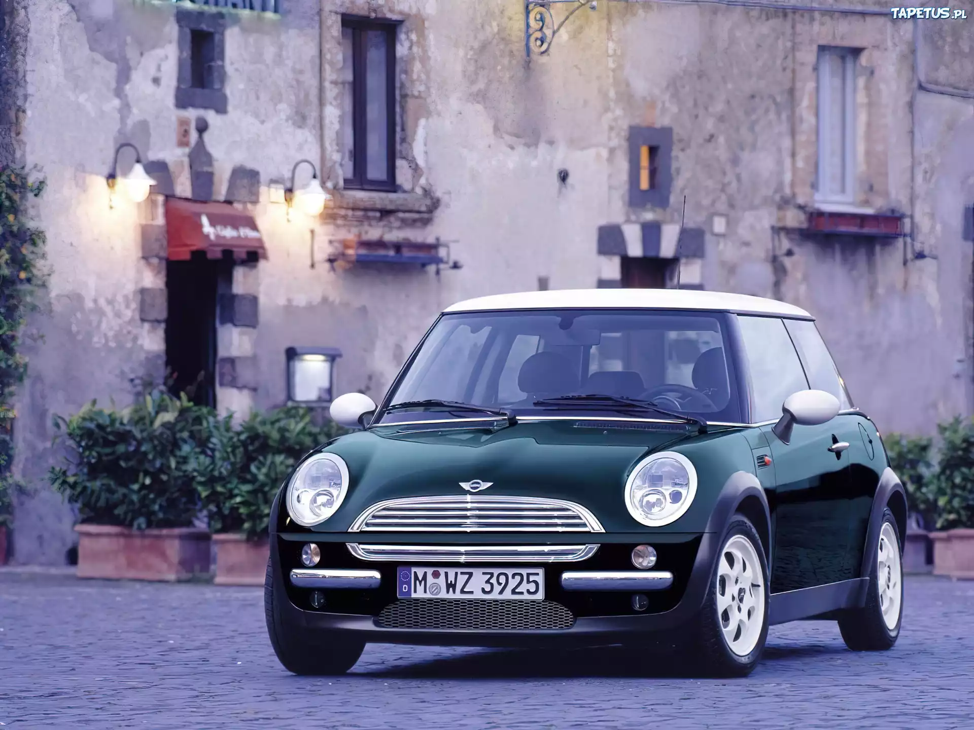 Mini, Zielony