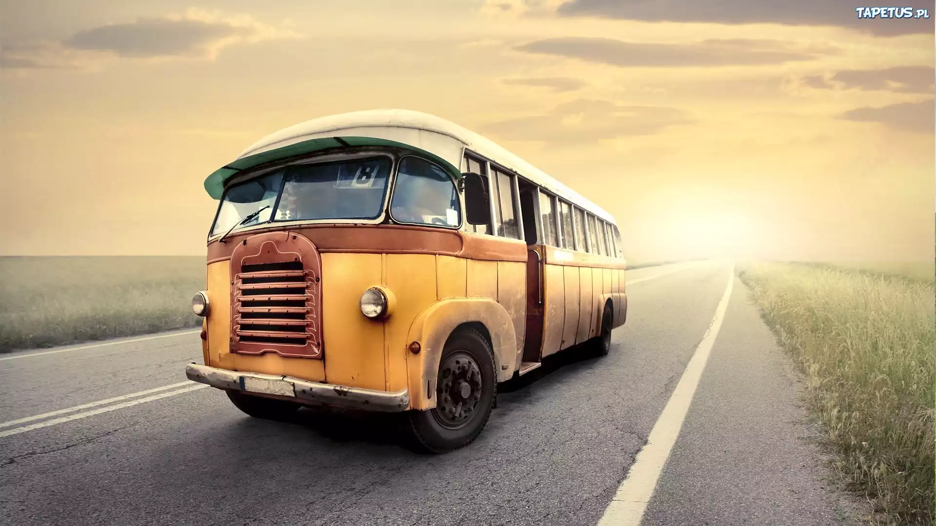 Autobus, Droga, Pola