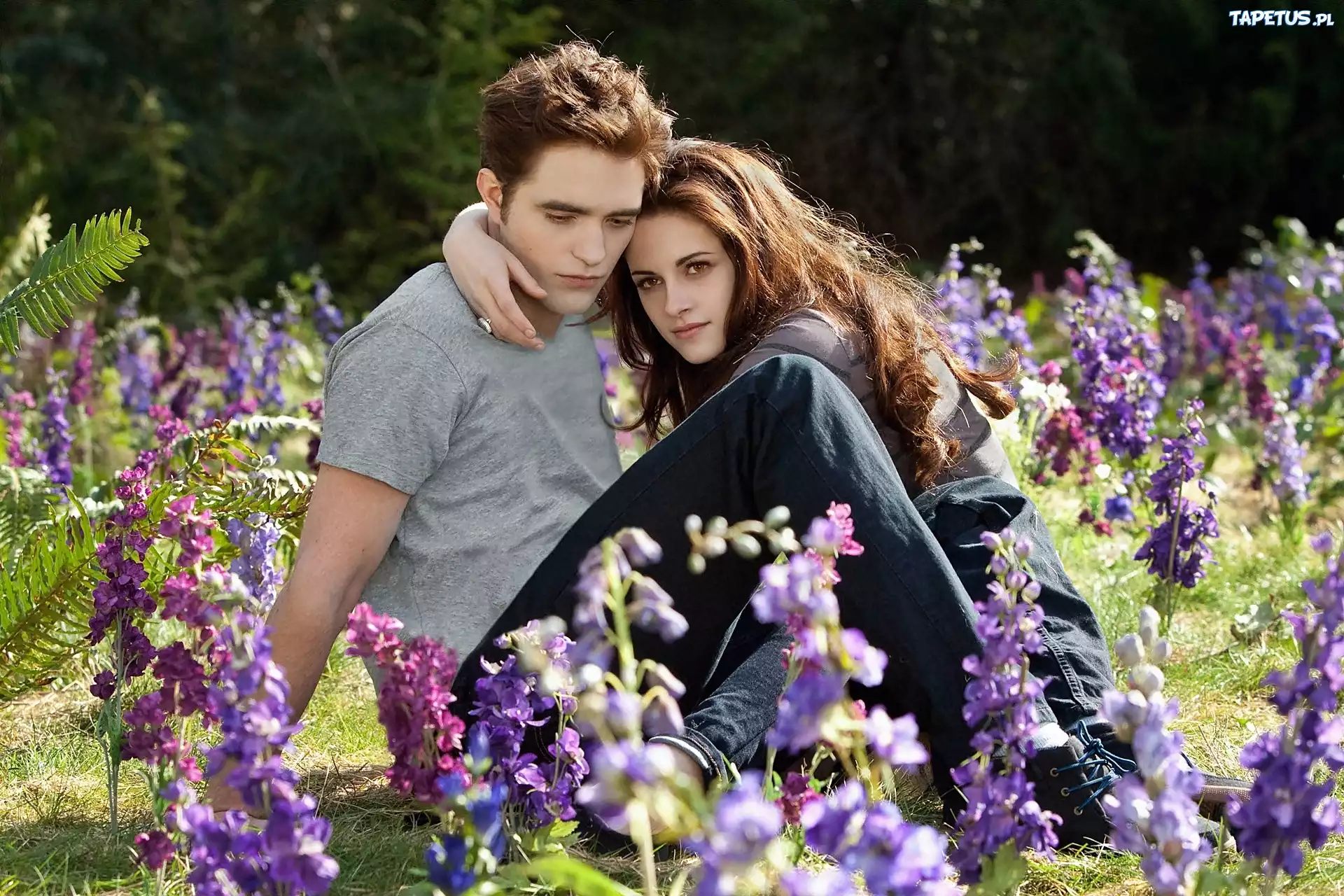 Łąka, Kwiaty, Robert Pattinson, Kristen Stewart